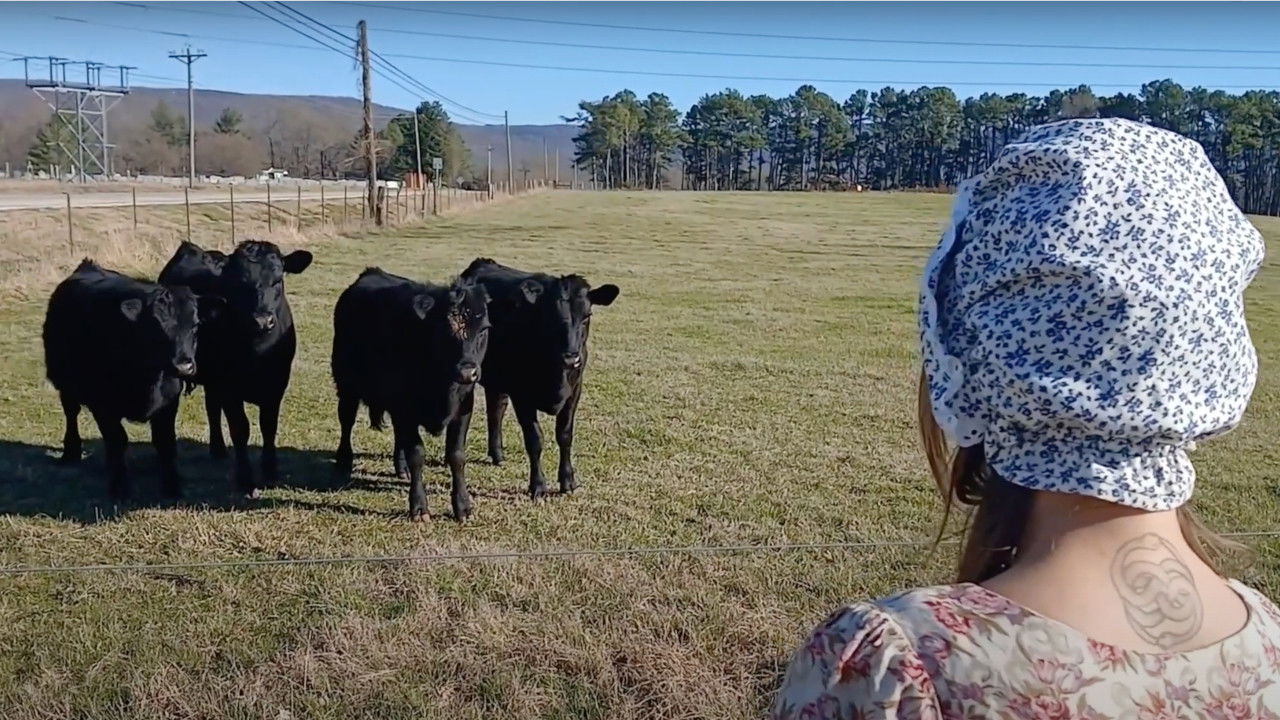 Backdrop for Little Bo Creep