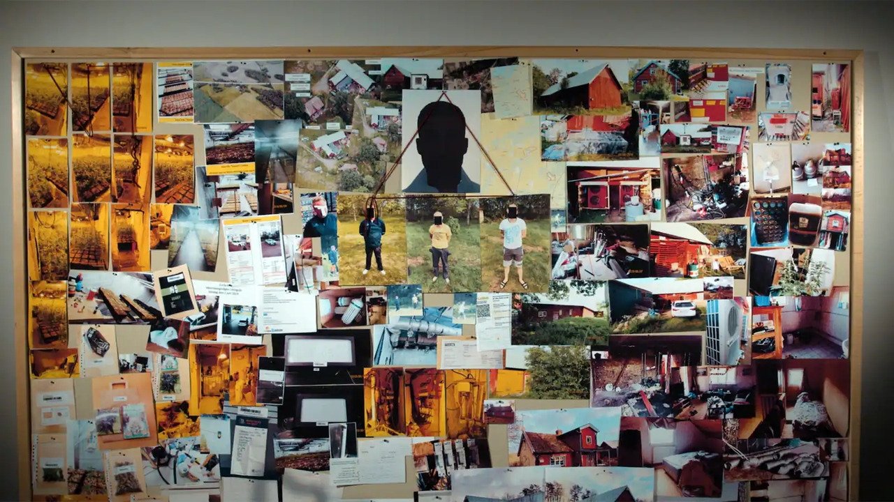 Backdrop for Operation Cannabis