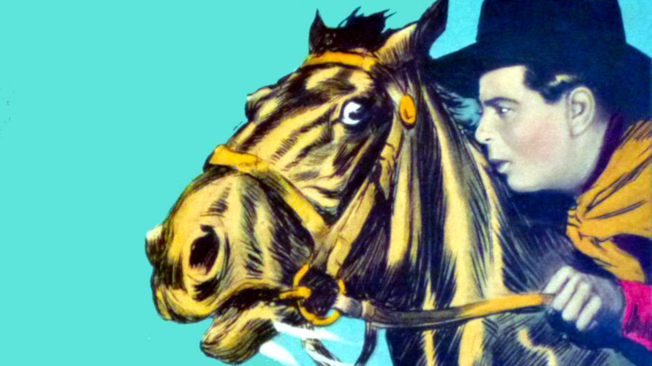 Backdrop for Hey! Hey! Cowboy