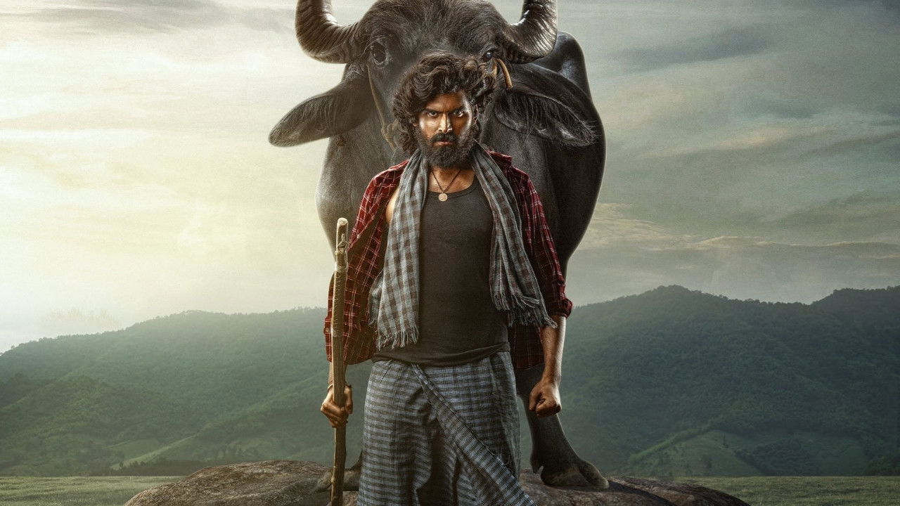 Backdrop for Maremma