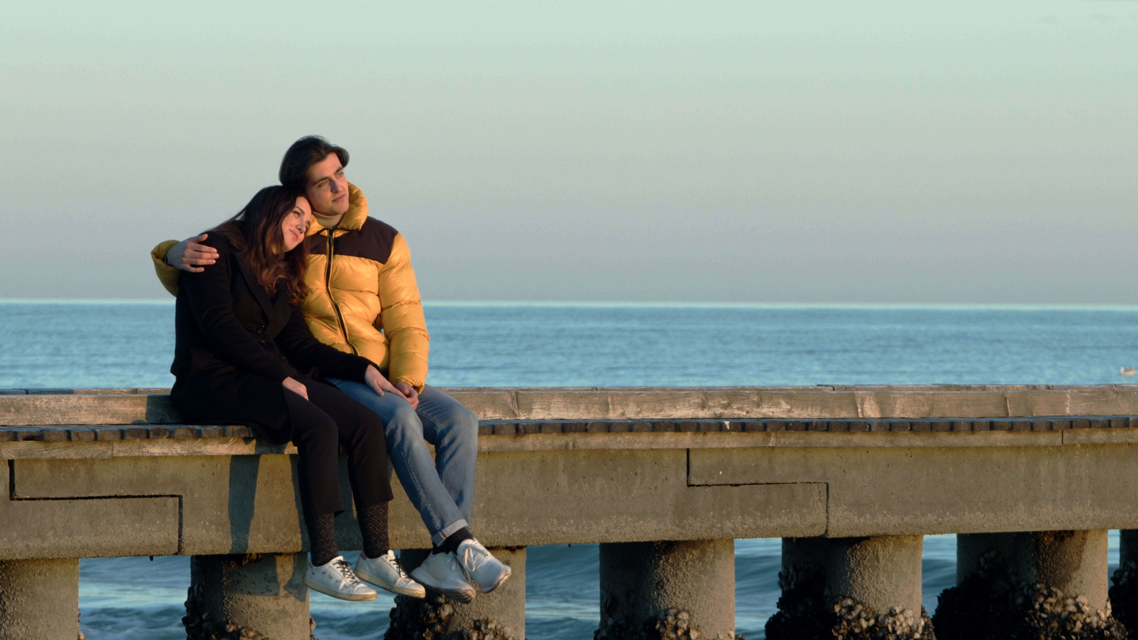 Backdrop for Autumn Leaves