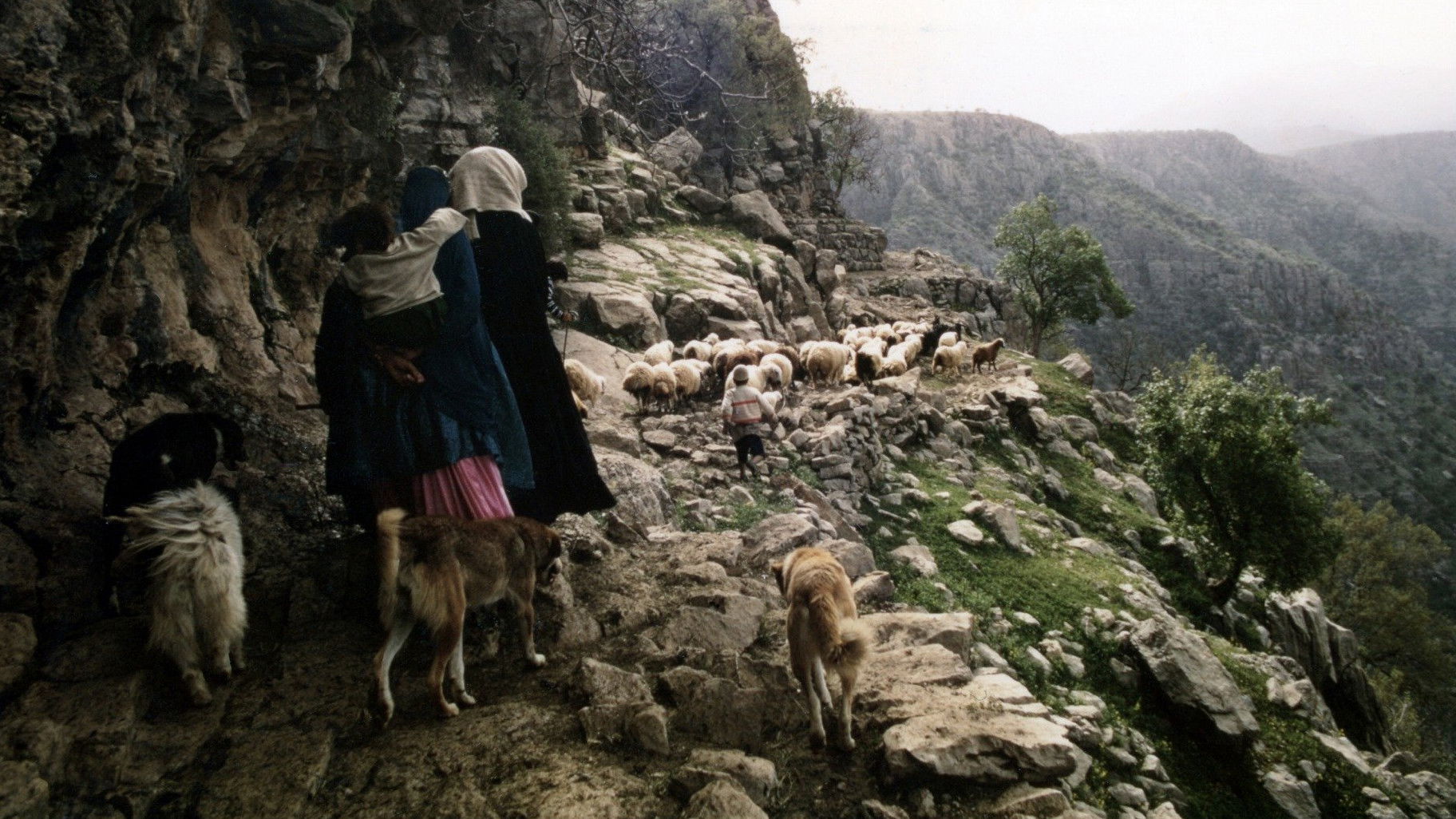 Backdrop for People of the Wind