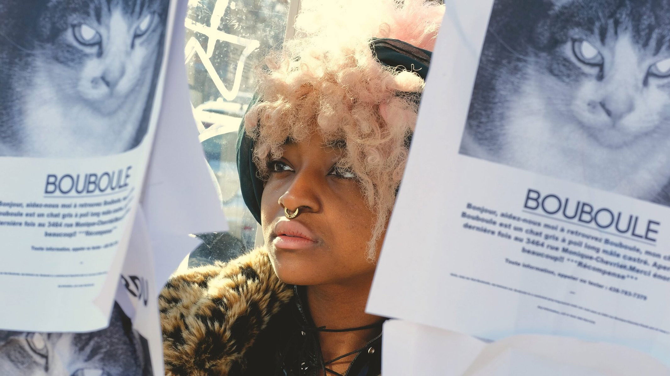 Backdrop for Dumpster Duchess