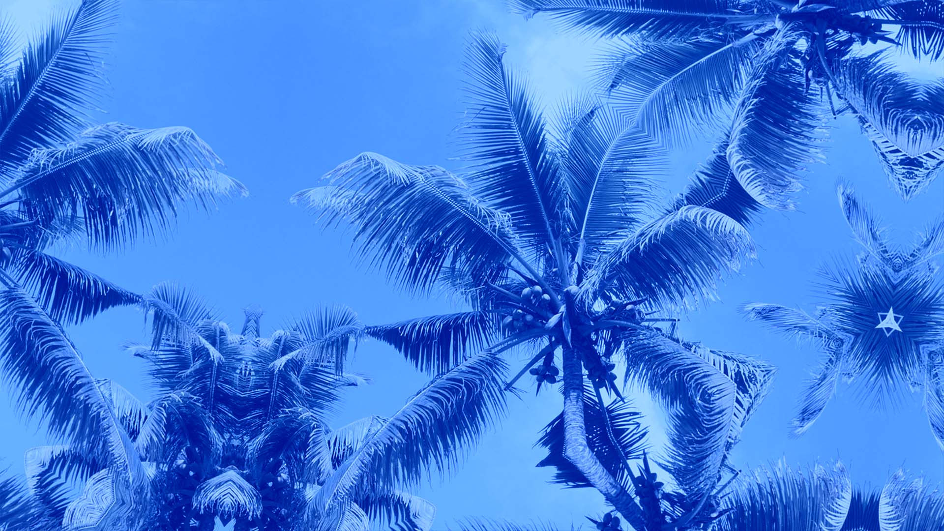 Backdrop for La bolsa / Die Tüte