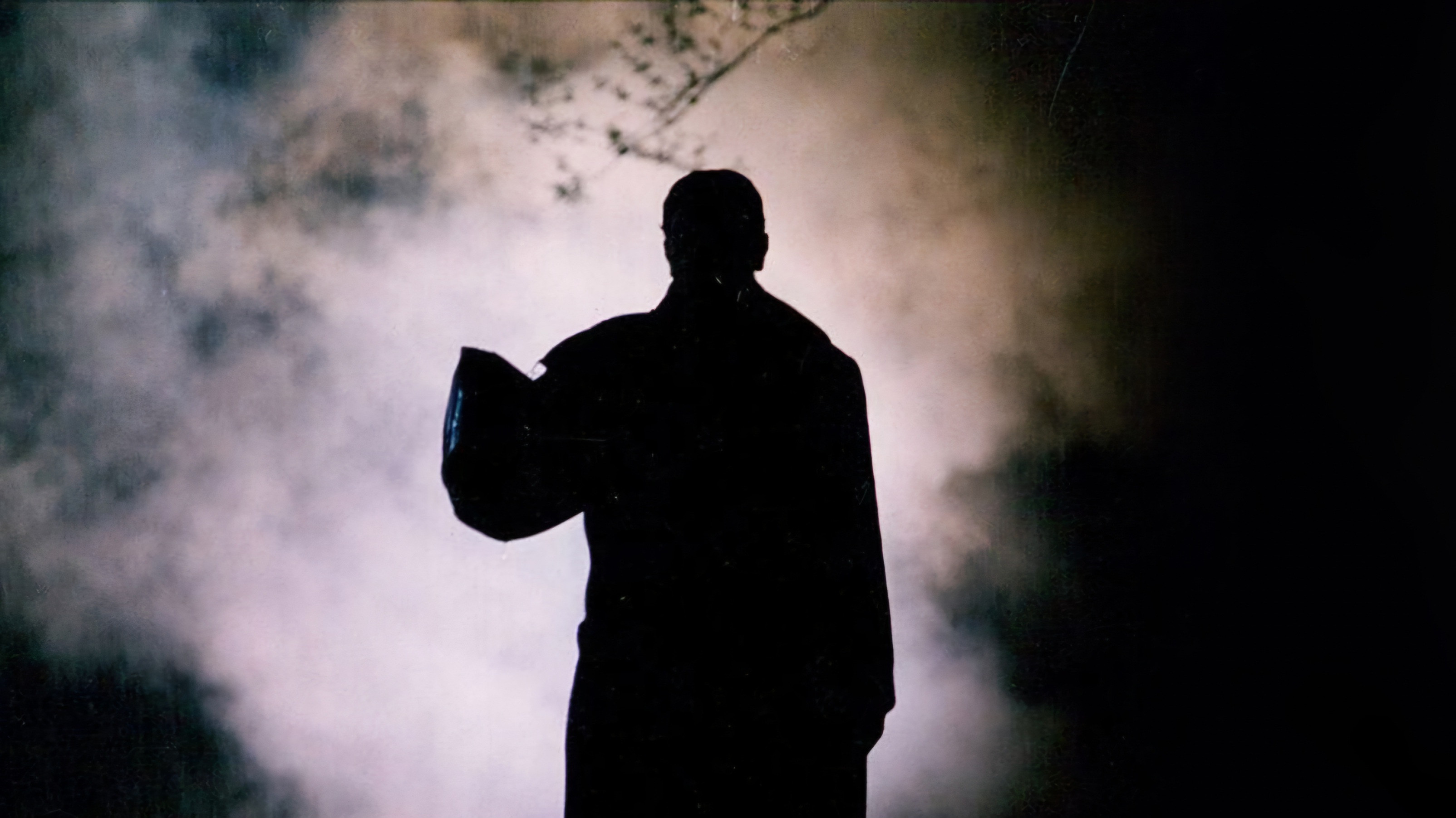 Backdrop for The Yellow Rose