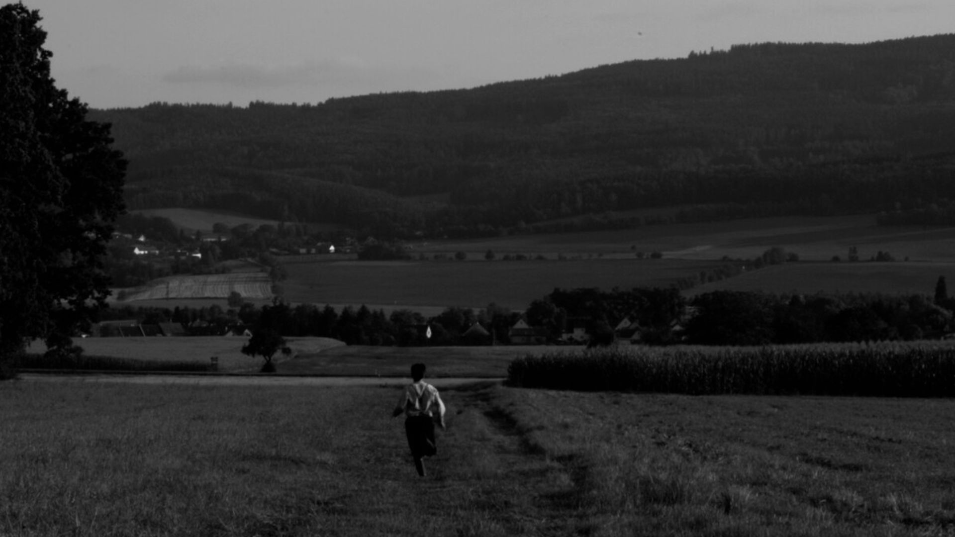 Backdrop for The Painter