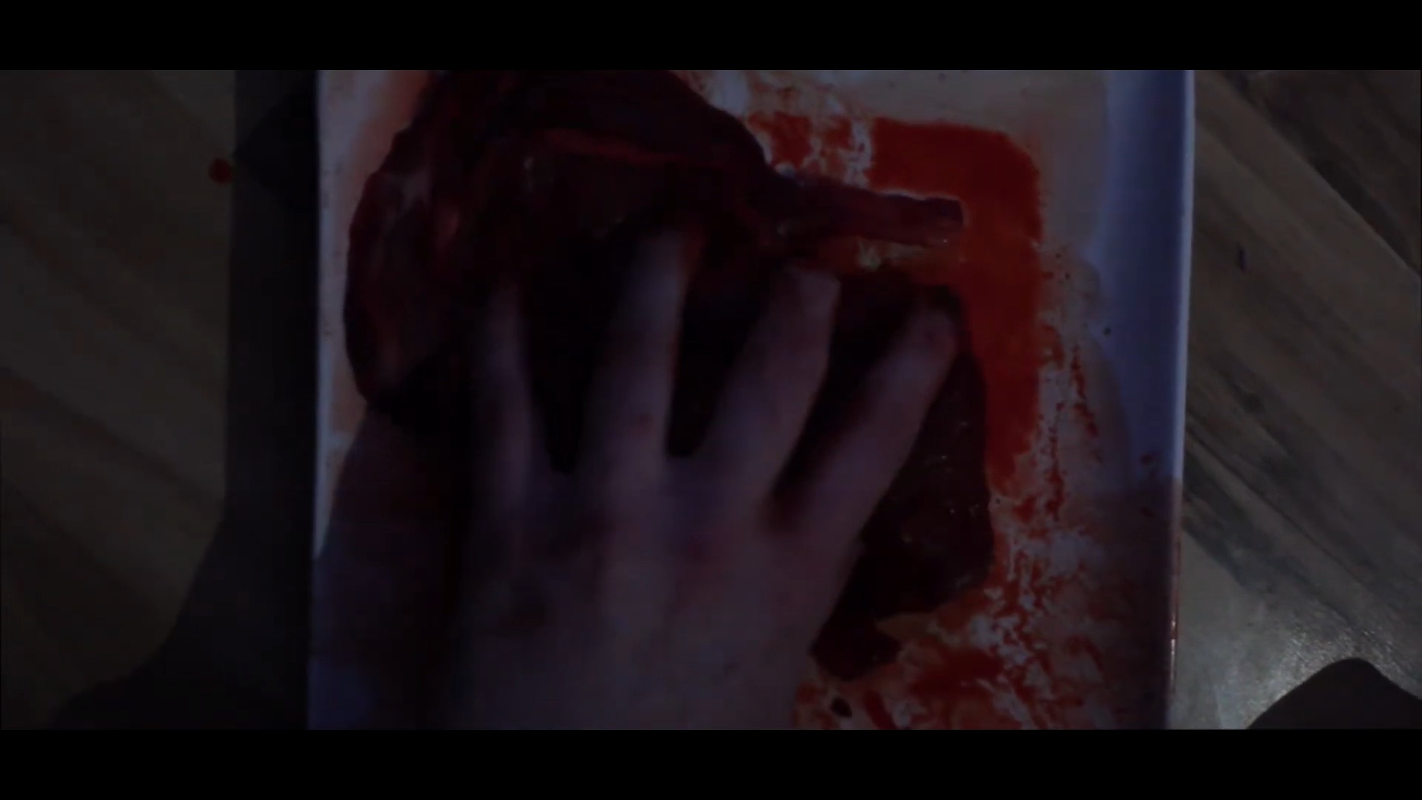 Backdrop for Meat: An American Cannibal Film