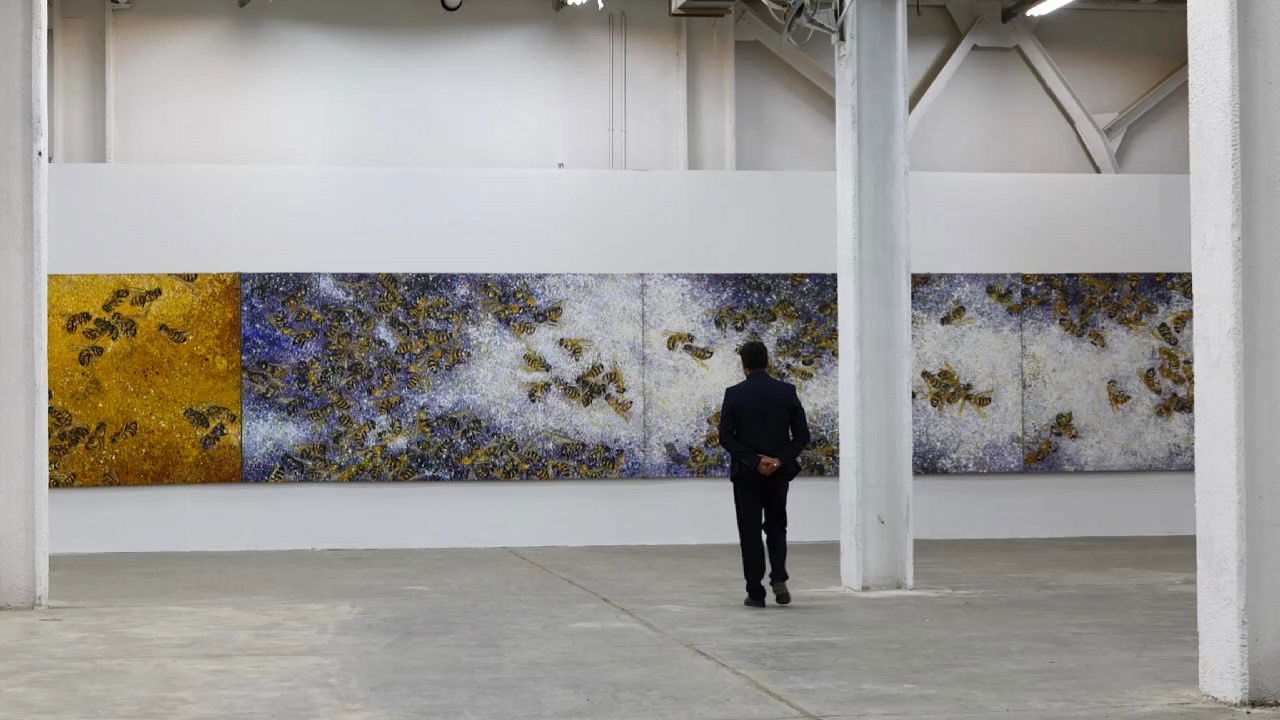 Backdrop for A Portrait of Sufyan