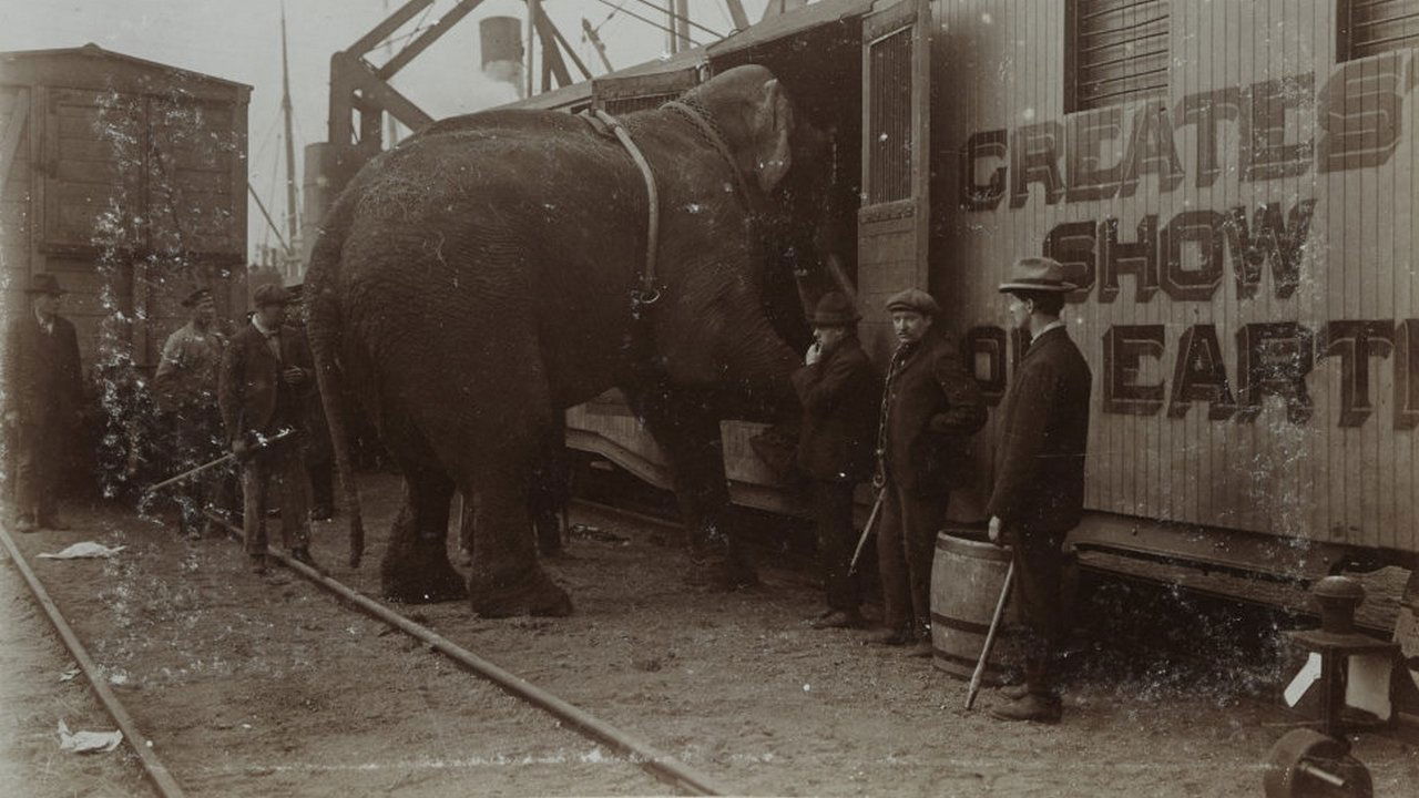 Backdrop for The Tragic Story of Fritz the Elephant