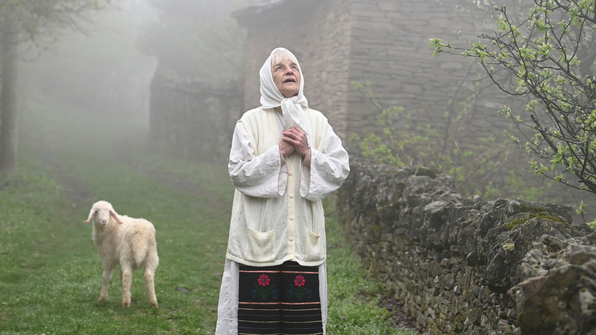 Backdrop for God's Will