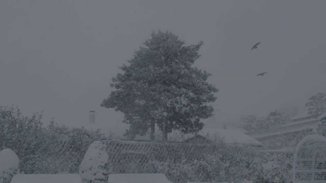 Backdrop for Hello in Hakodate