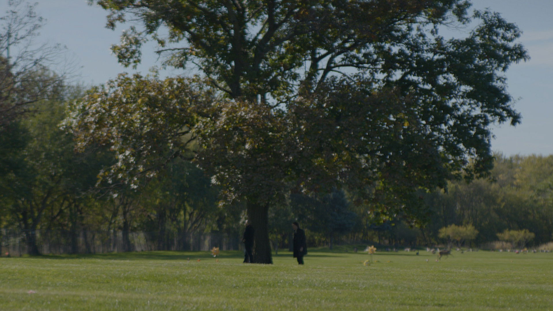 Backdrop for Amongst the Ashes