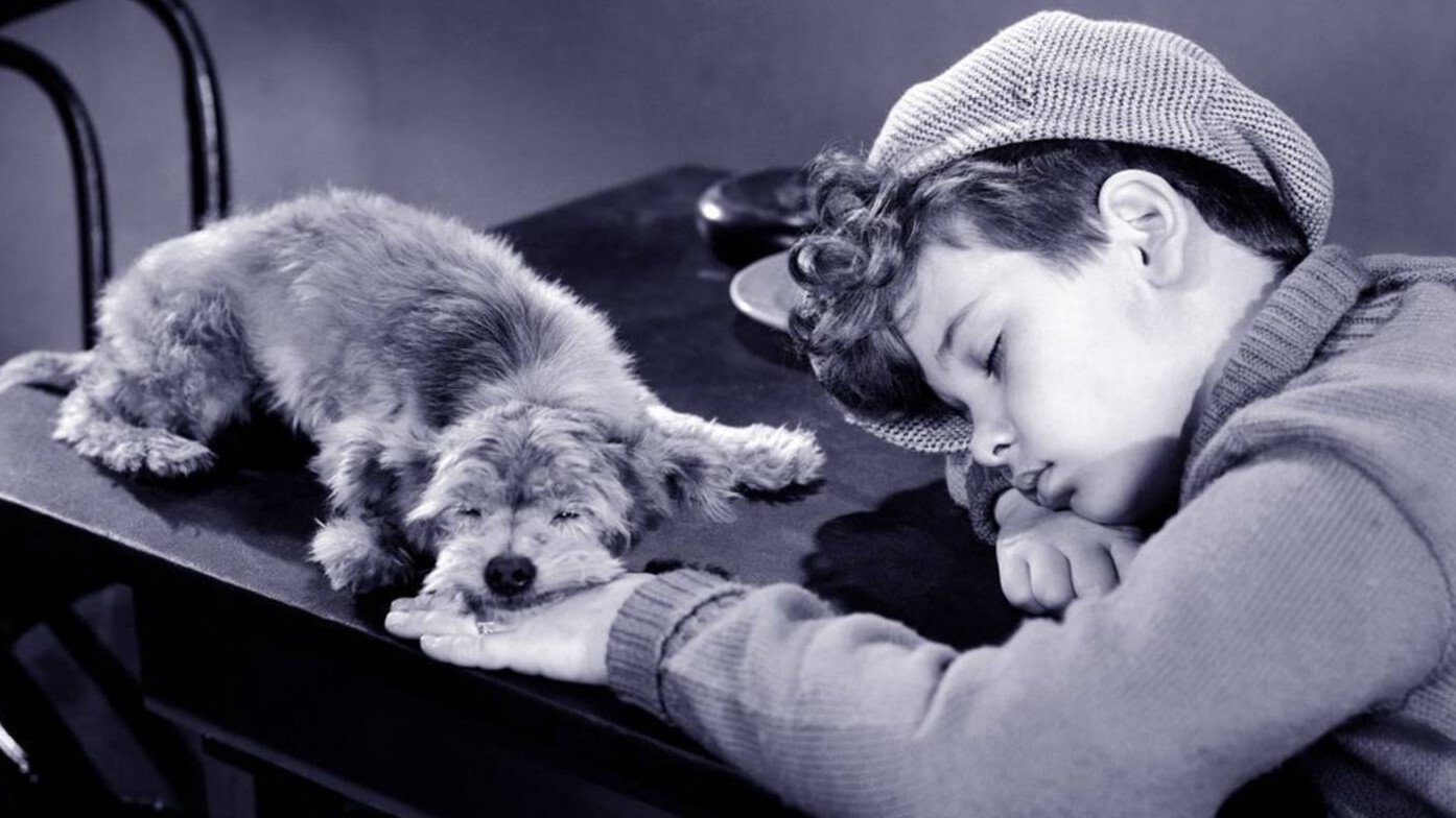 Backdrop for The Mighty McGurk