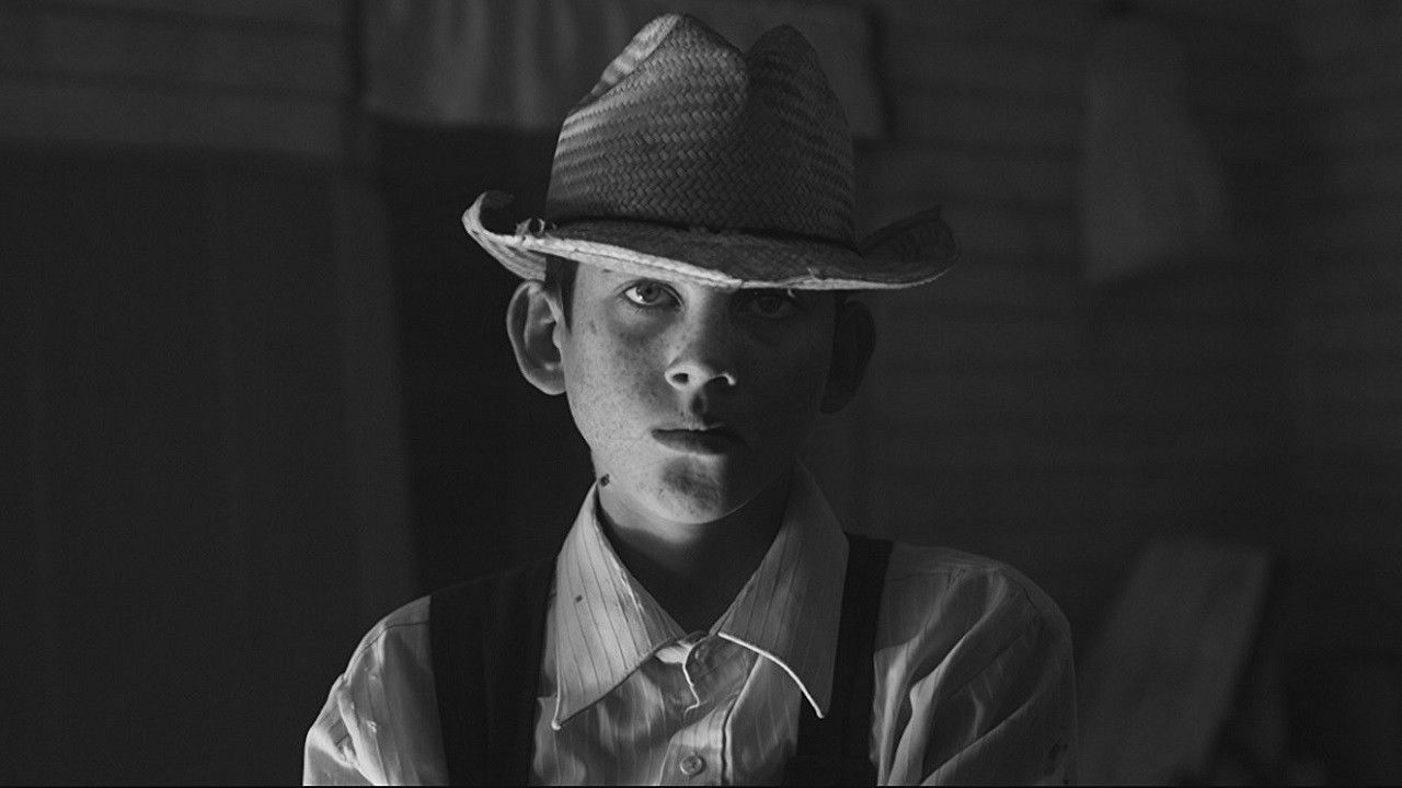 Backdrop for Salamanca