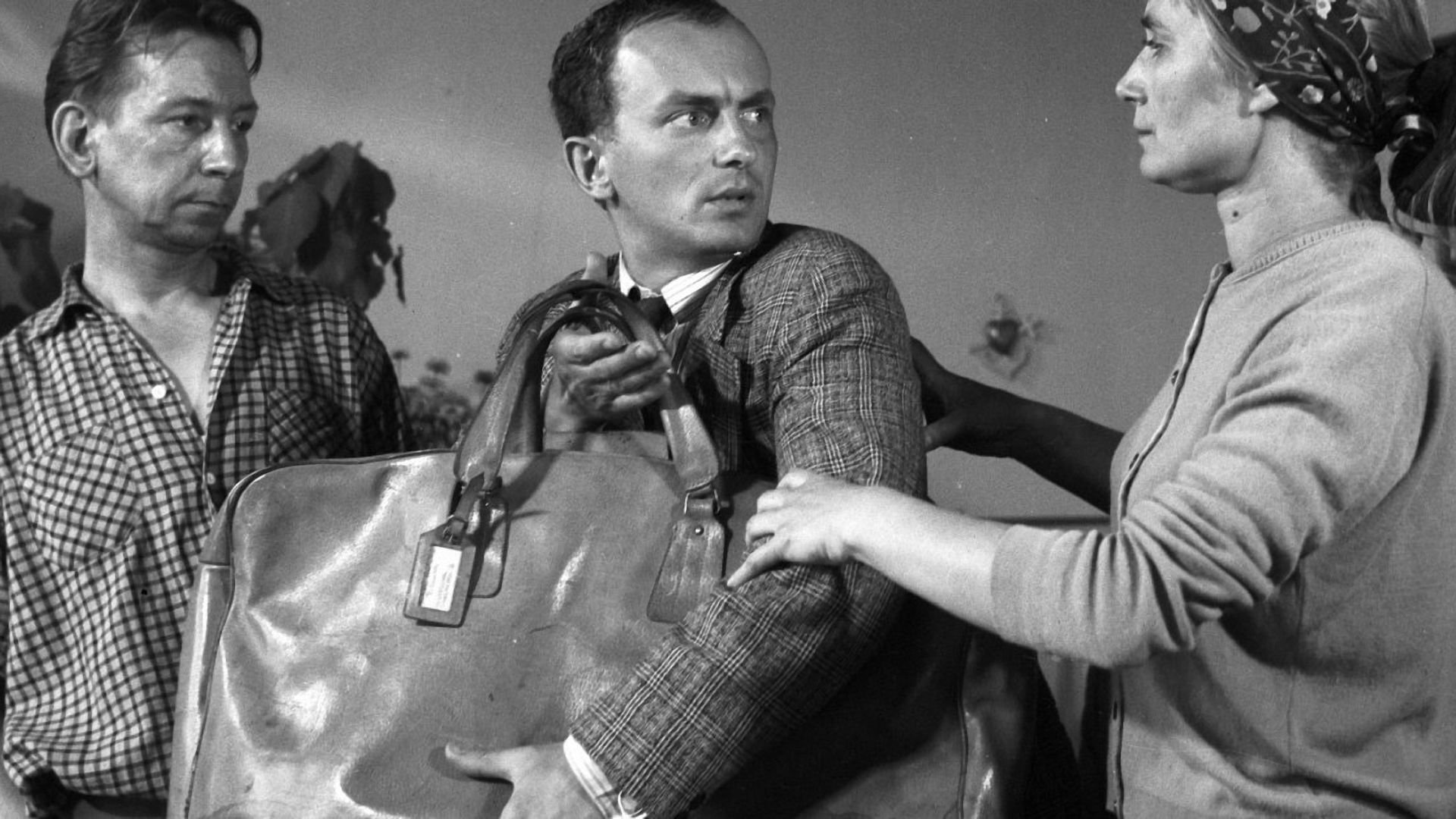 Backdrop for Monidło