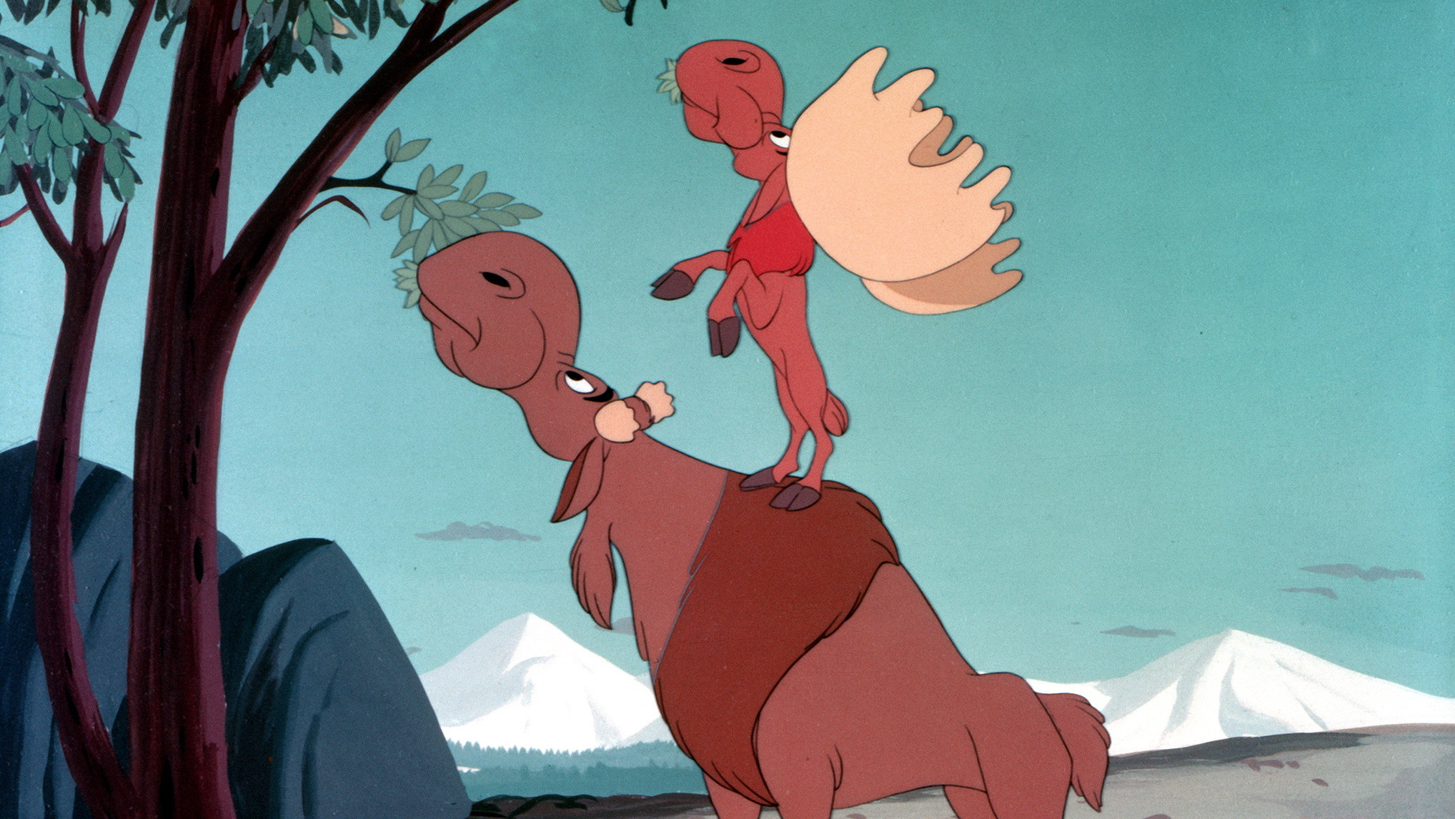 Backdrop for Morris the Midget Moose