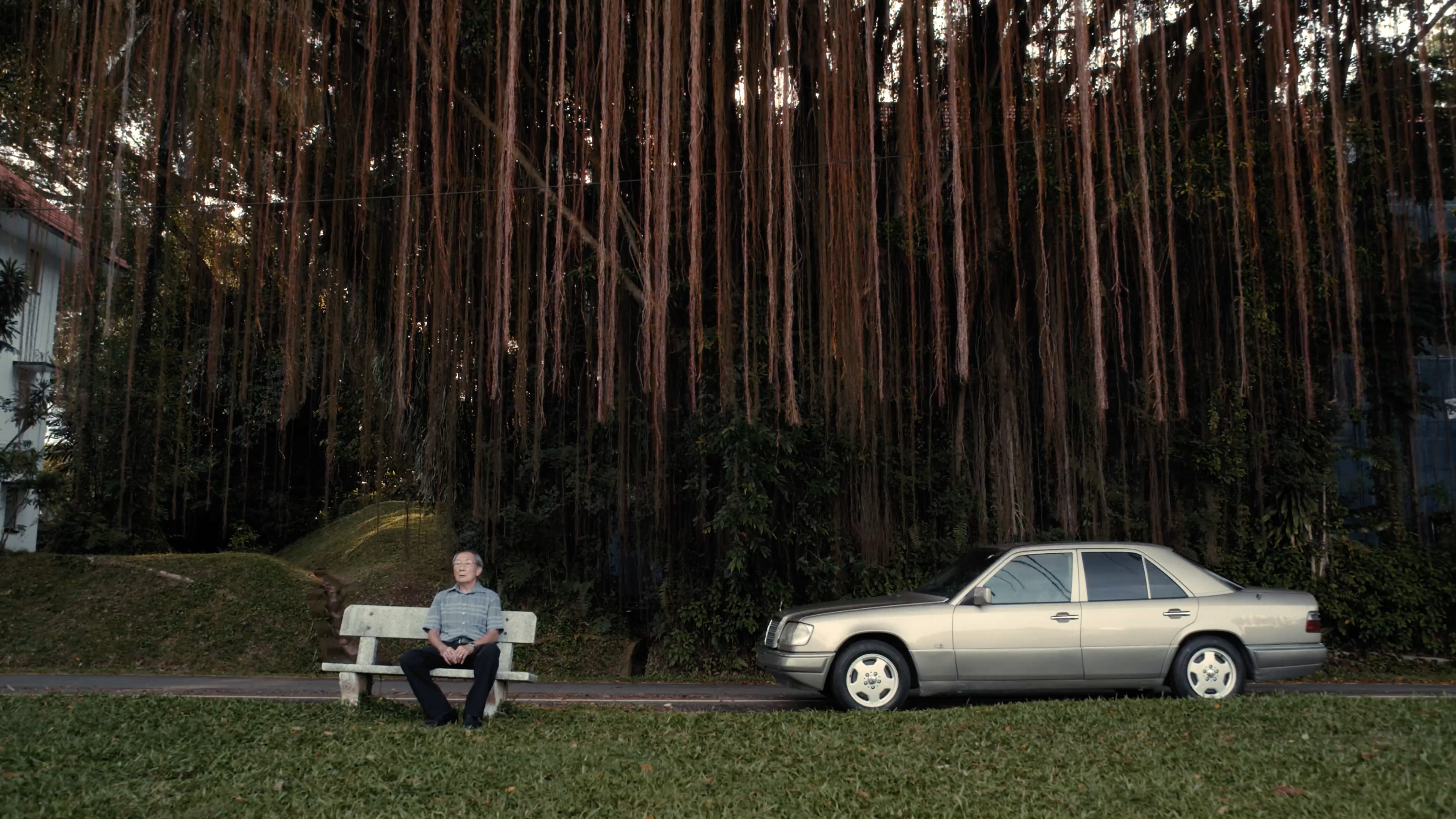 Backdrop for The Old Man and His Car