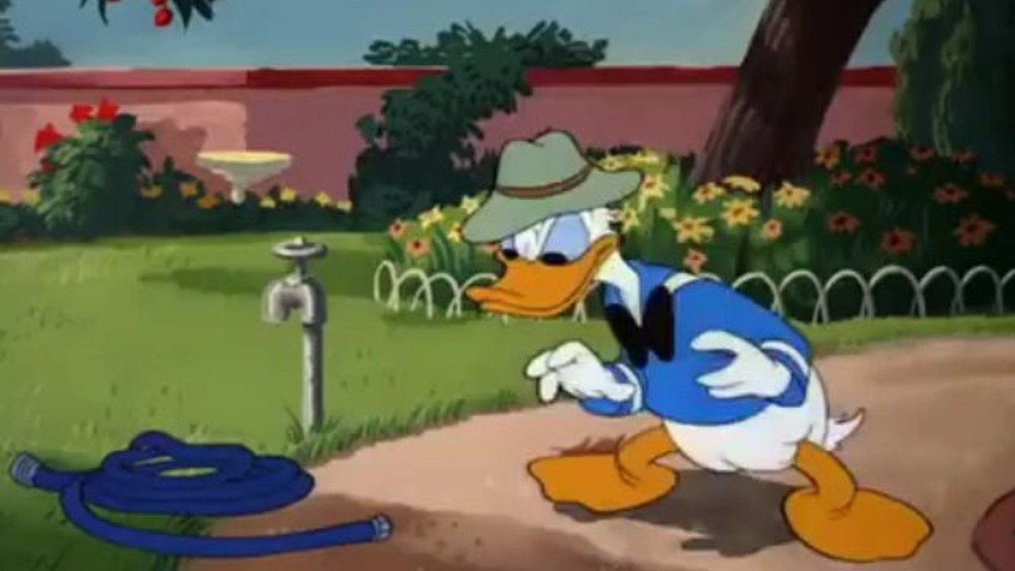 Backdrop for The Greener Yard