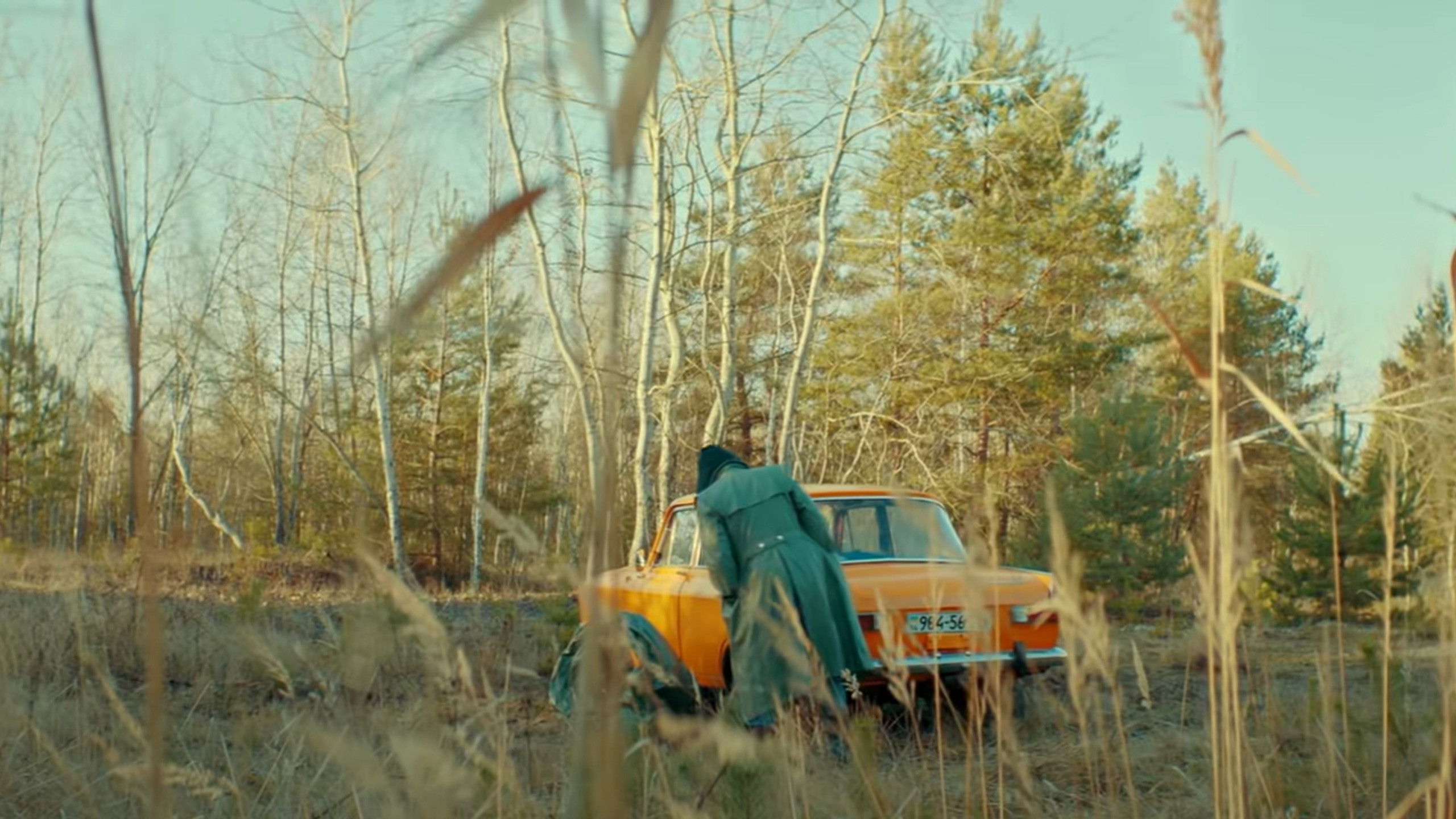 Backdrop for DZIDZIO: MARSIK