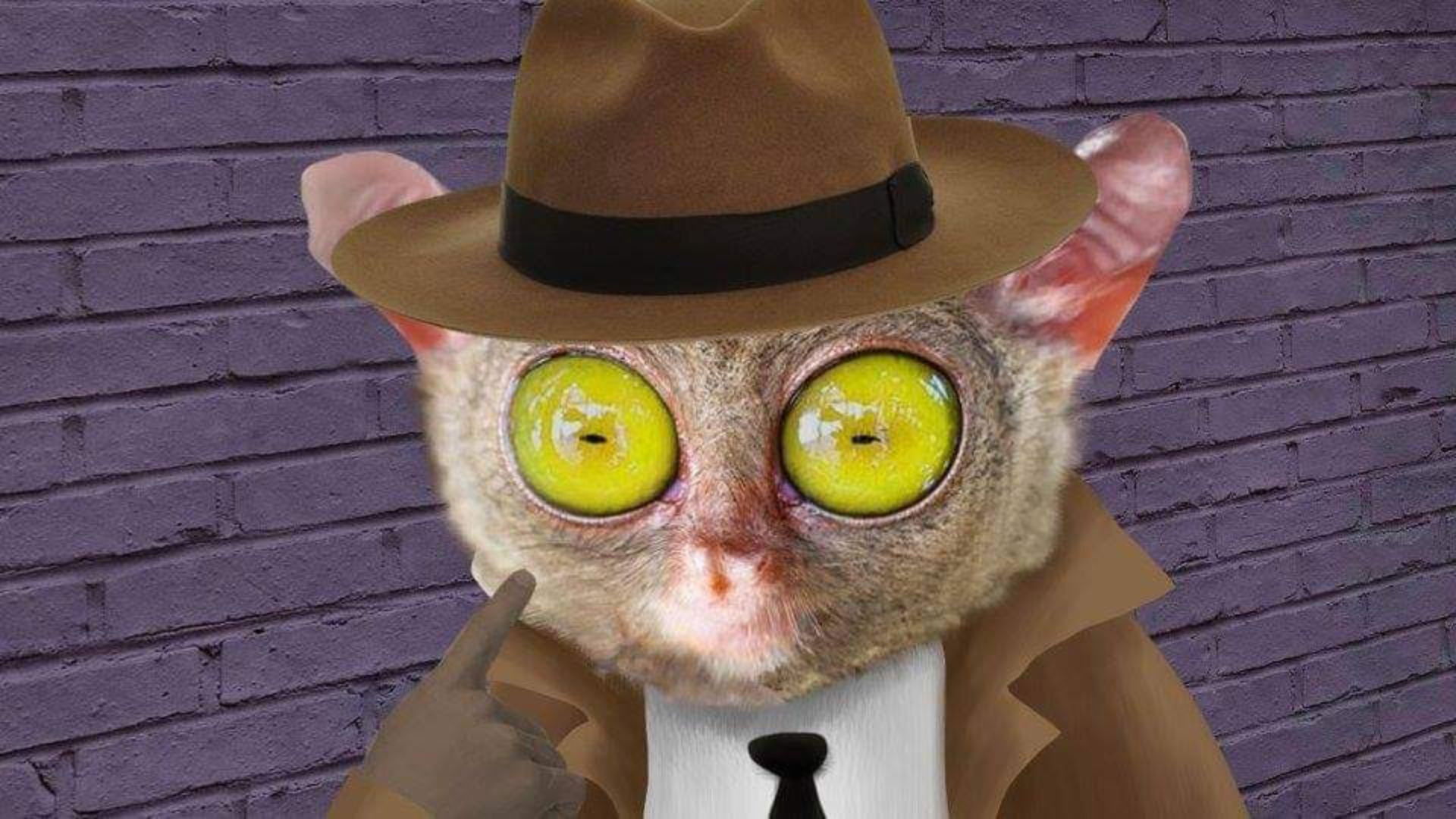 Backdrop for Lorenzo Delgado, Private Investigator