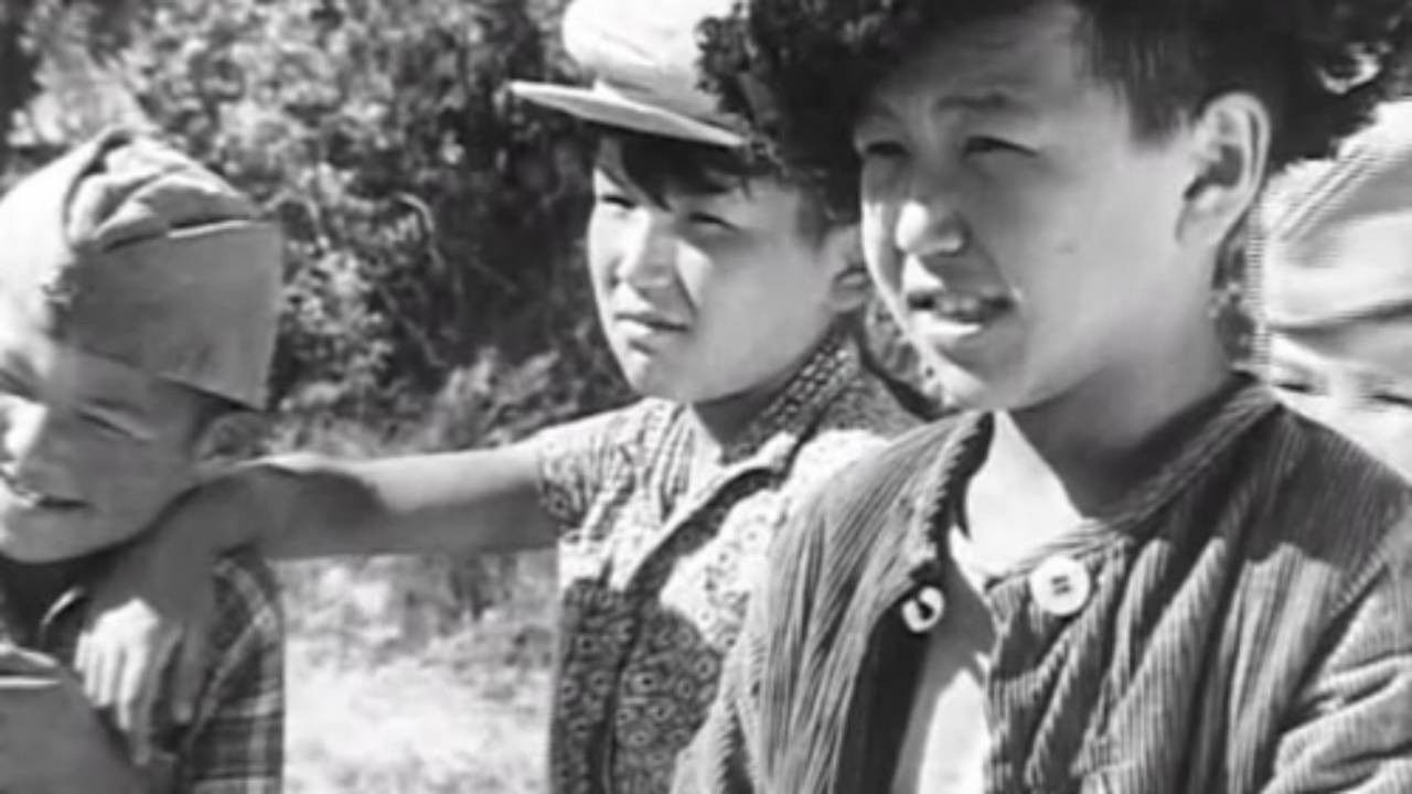 Backdrop for Little Soldier