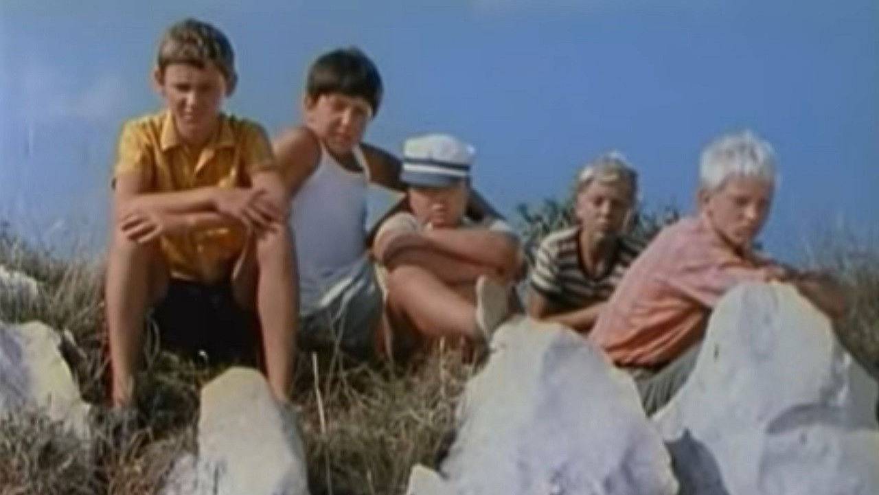 Backdrop for The Cyan-Blue Seagull Brotherhood