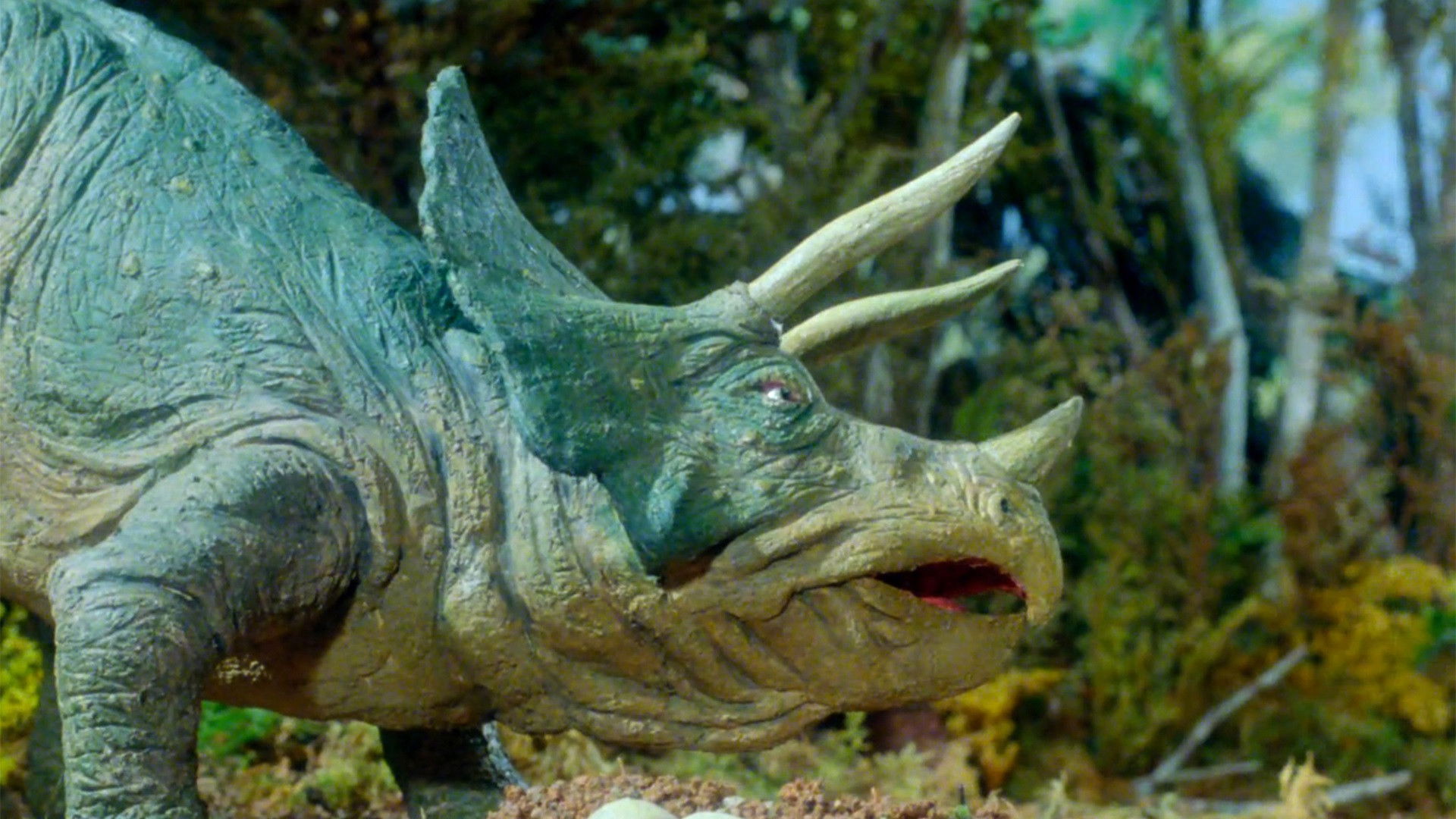 Backdrop for 64,000,000 Years Ago