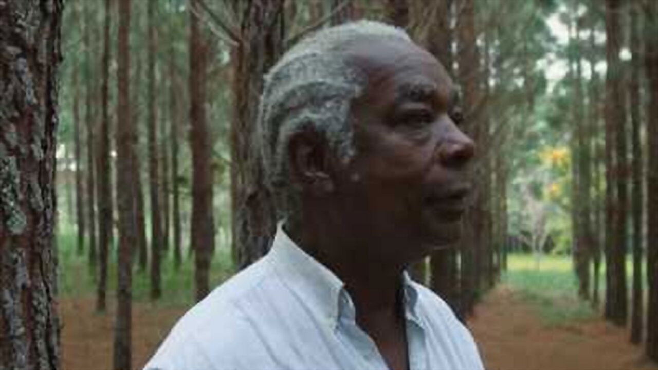 Backdrop for Aleluia, the Infinite Song