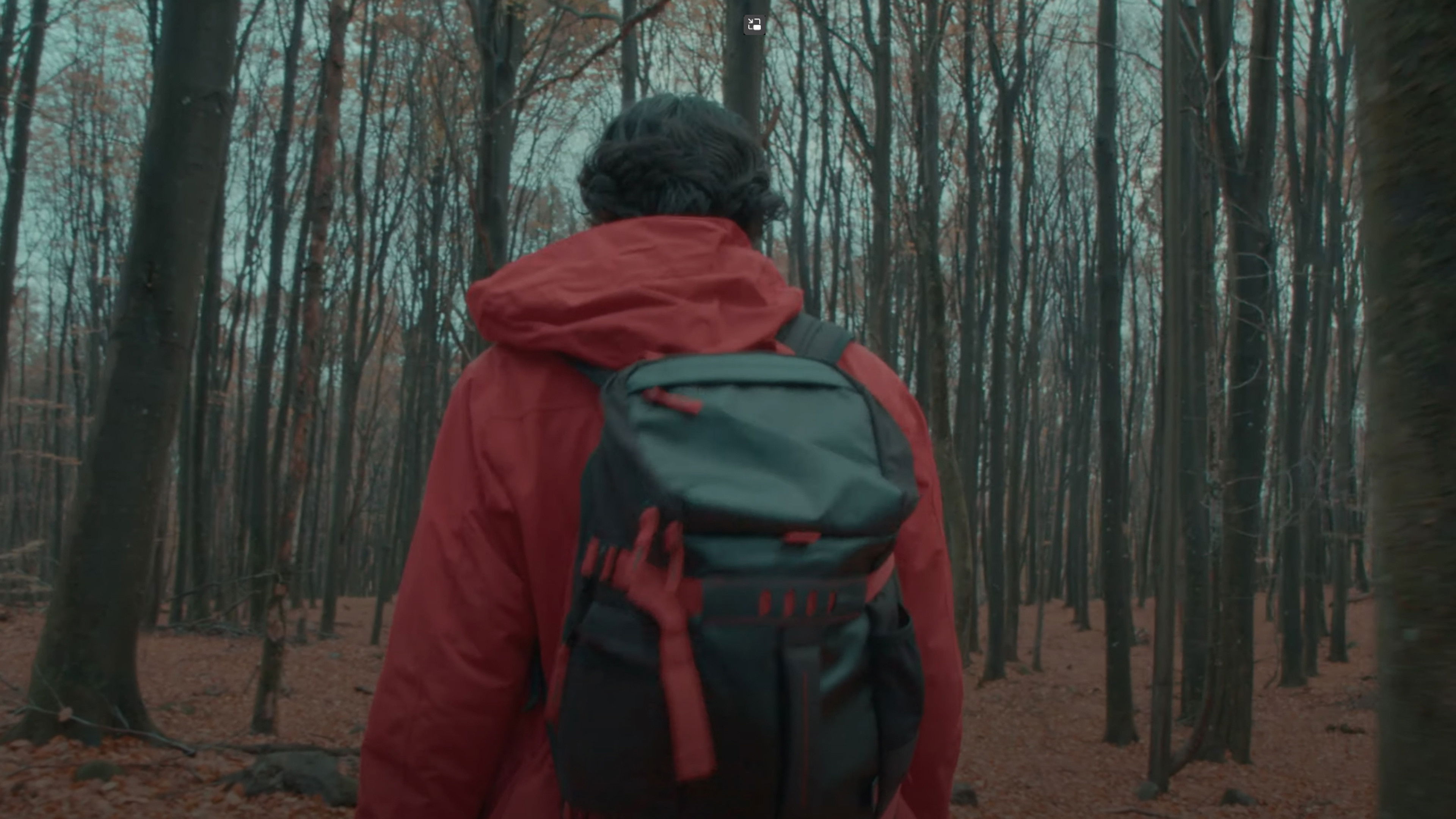 Backdrop for Delusions