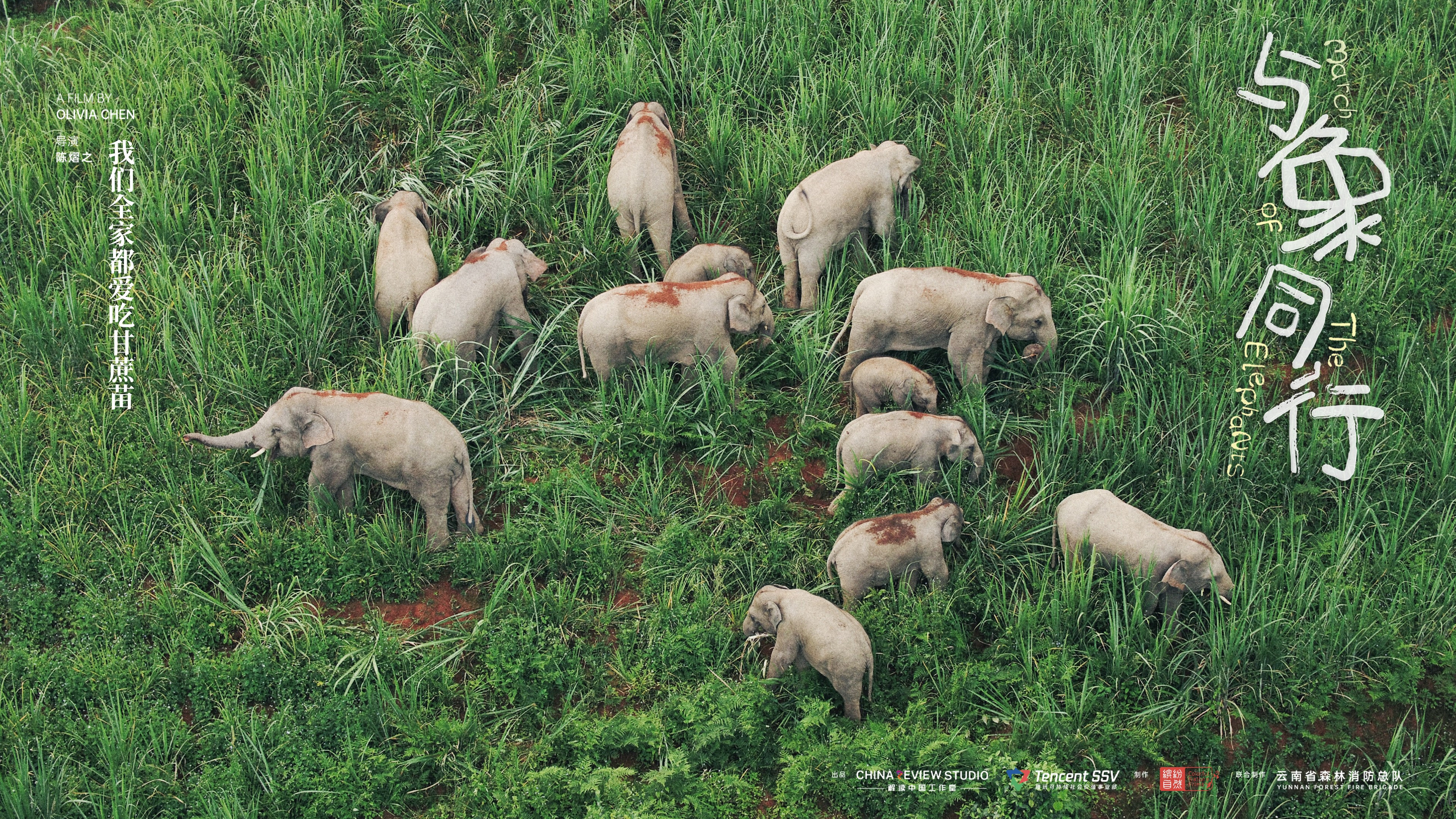 Backdrop for March of the Elephants