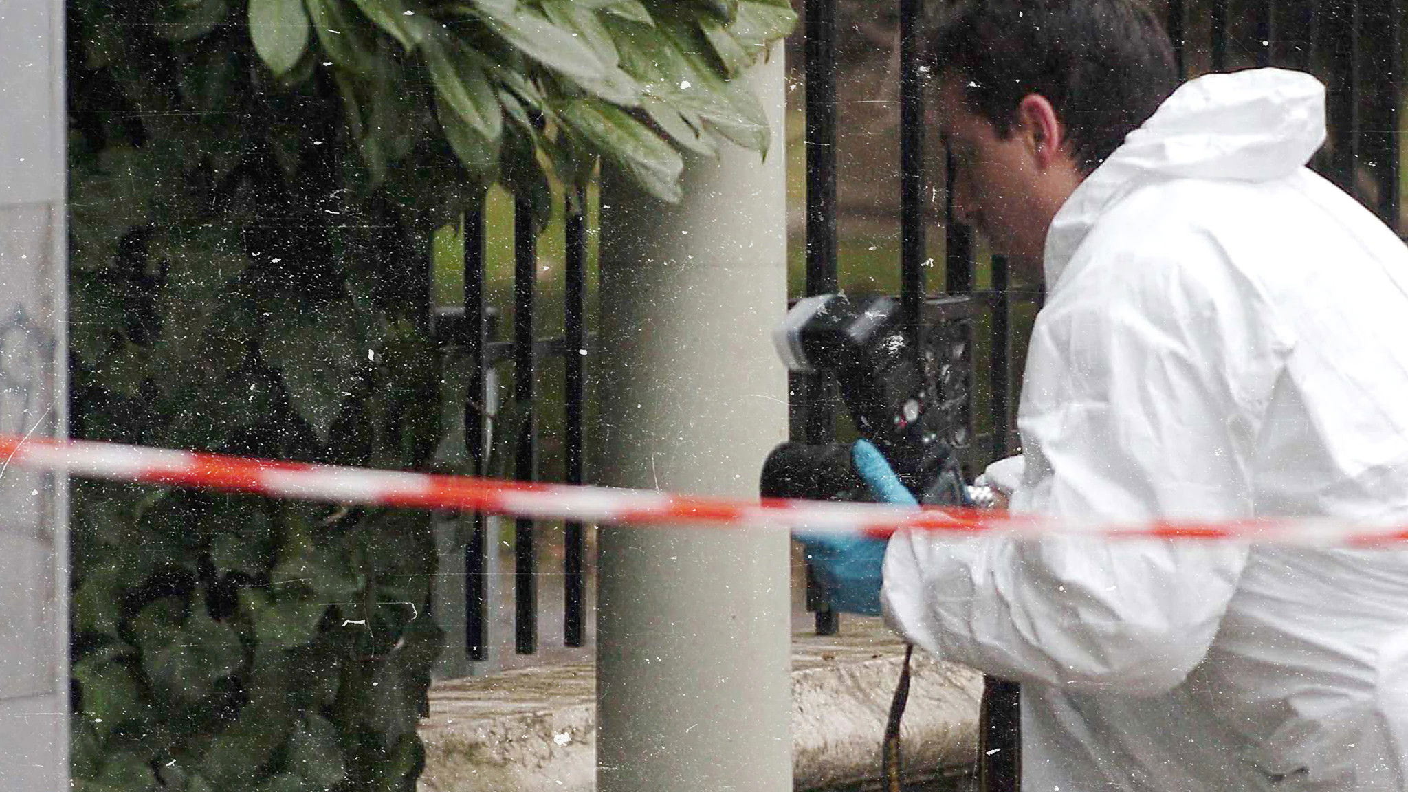 Backdrop for Unabomber