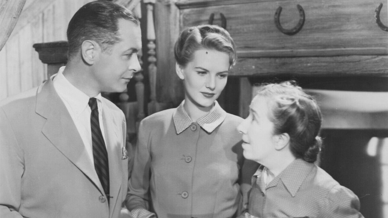 Backdrop for Your Witness