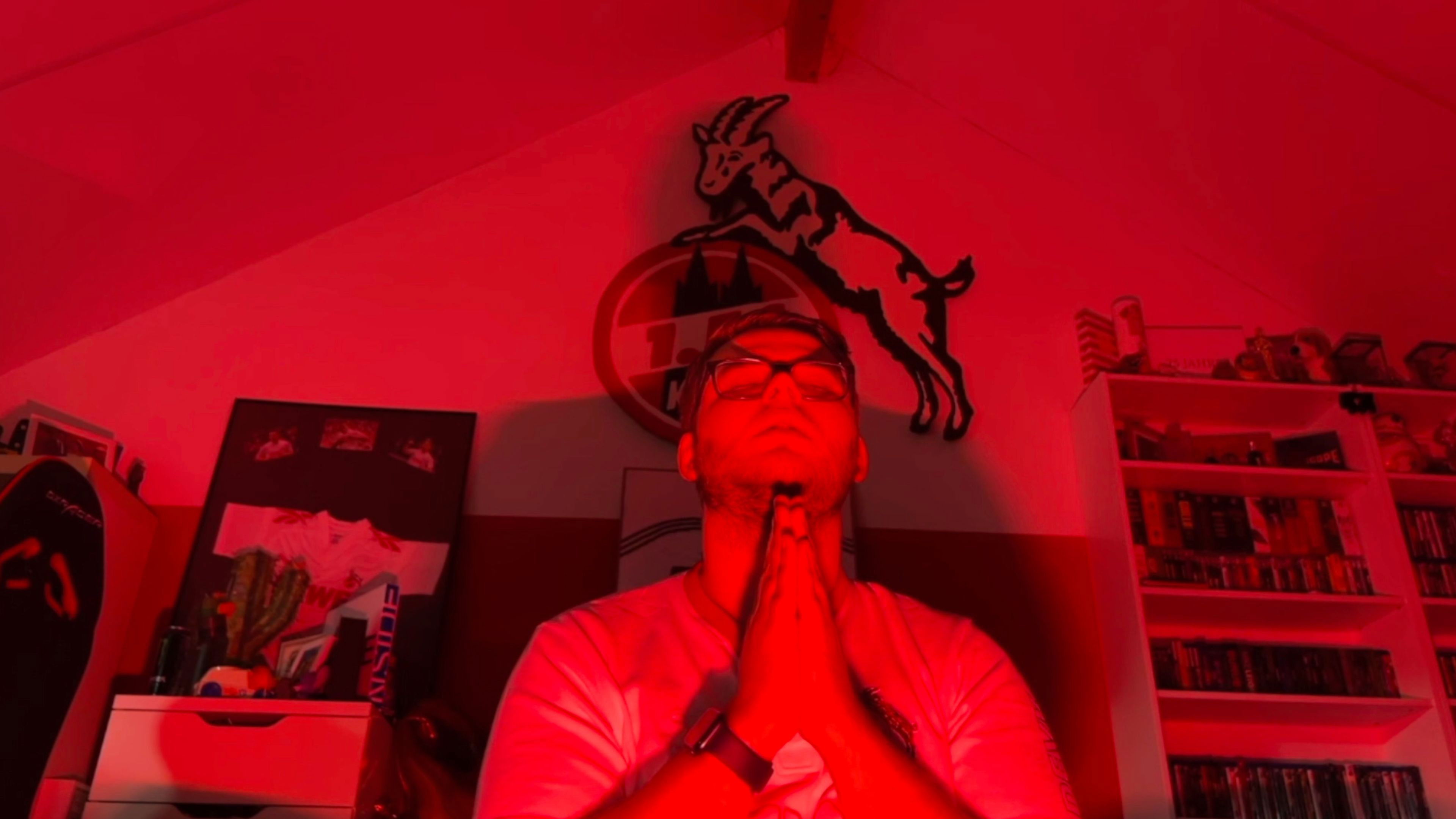 Backdrop for Lukas Weinandy: The Mimikry Outtakes