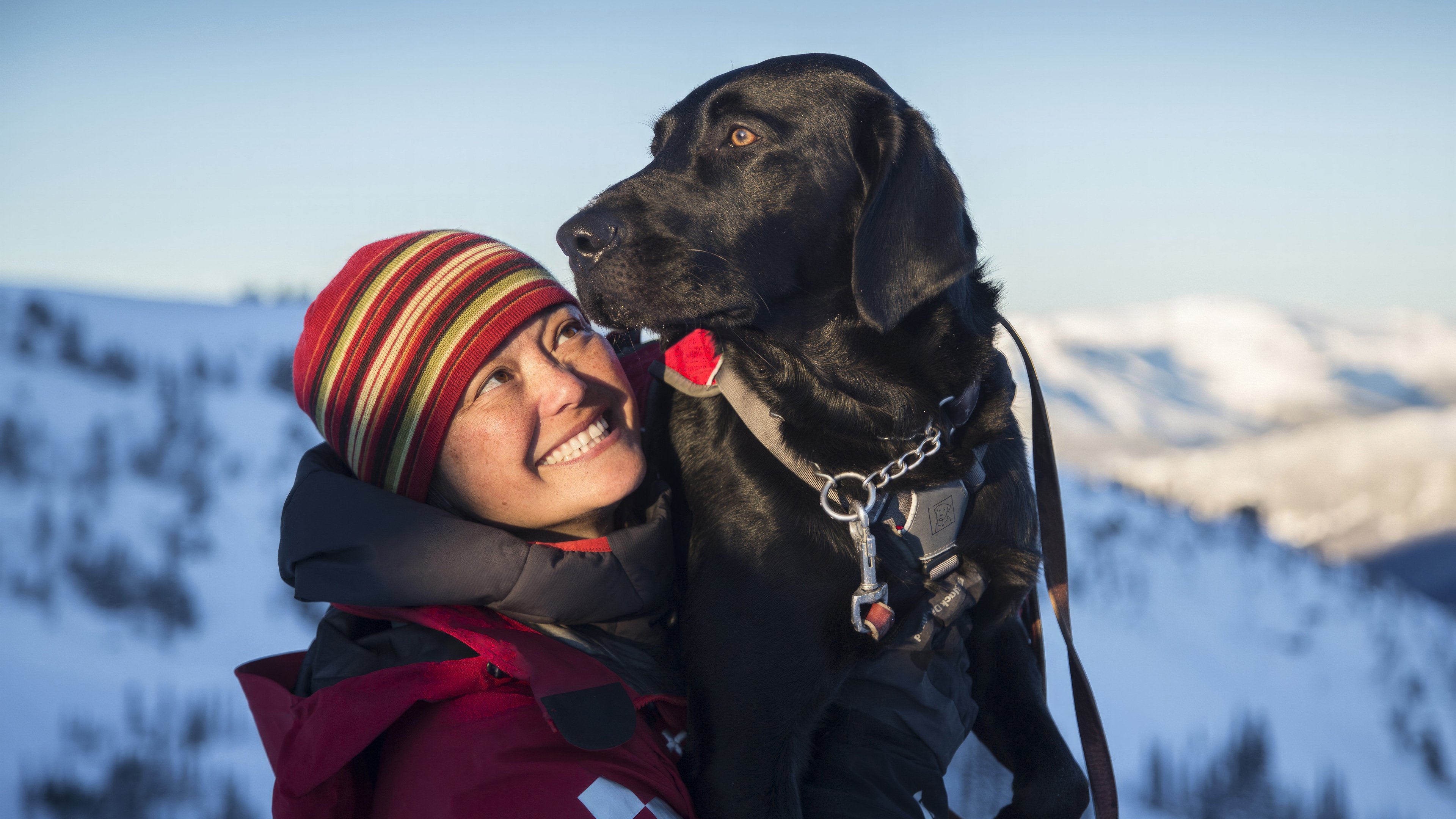 Backdrop for Superpower Dogs