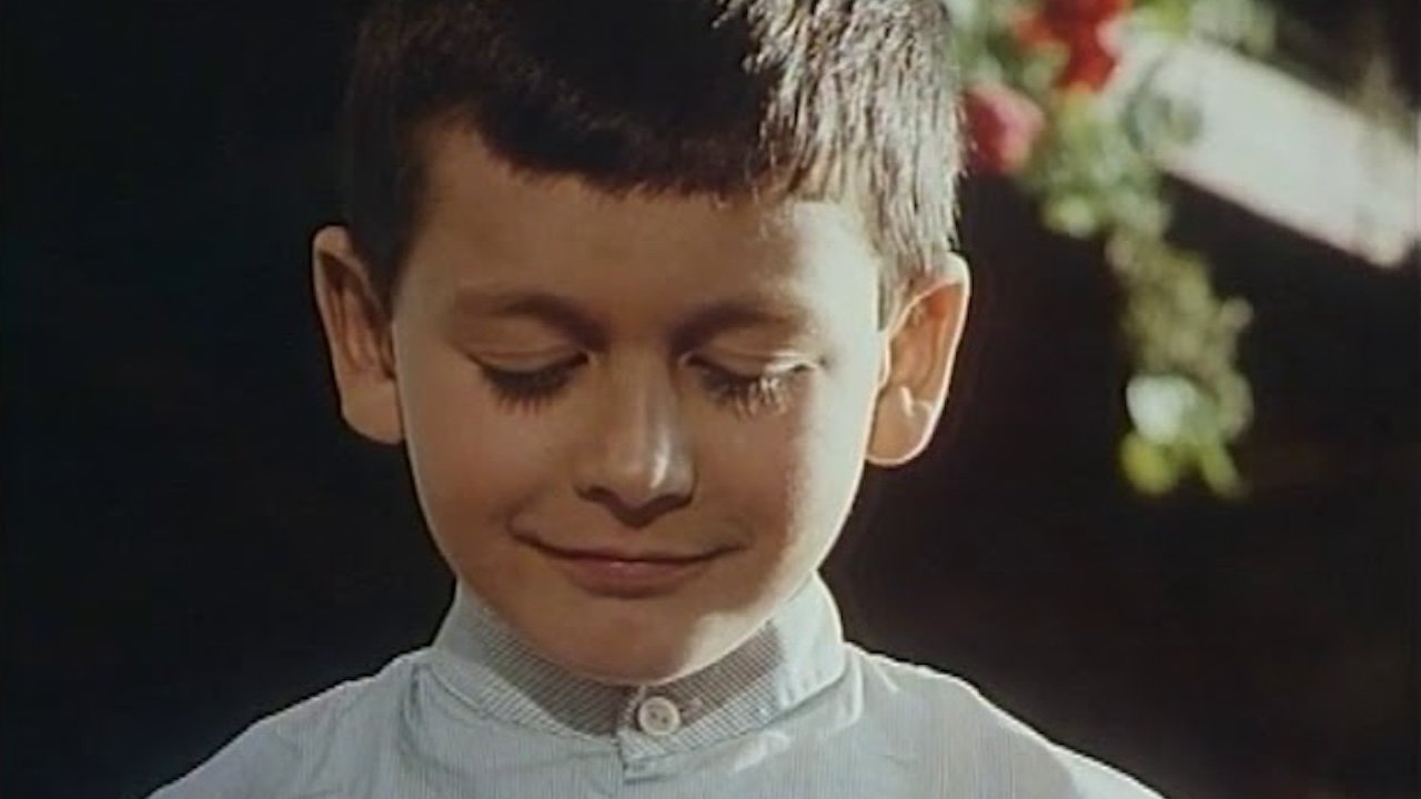 Backdrop for Eu, o tolo