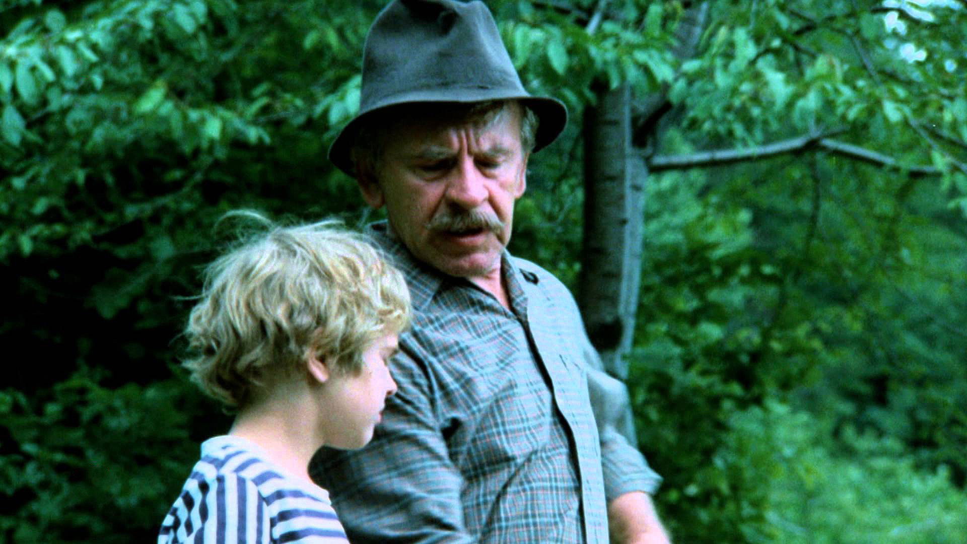 Backdrop for Kosenie Jastrabej lúky