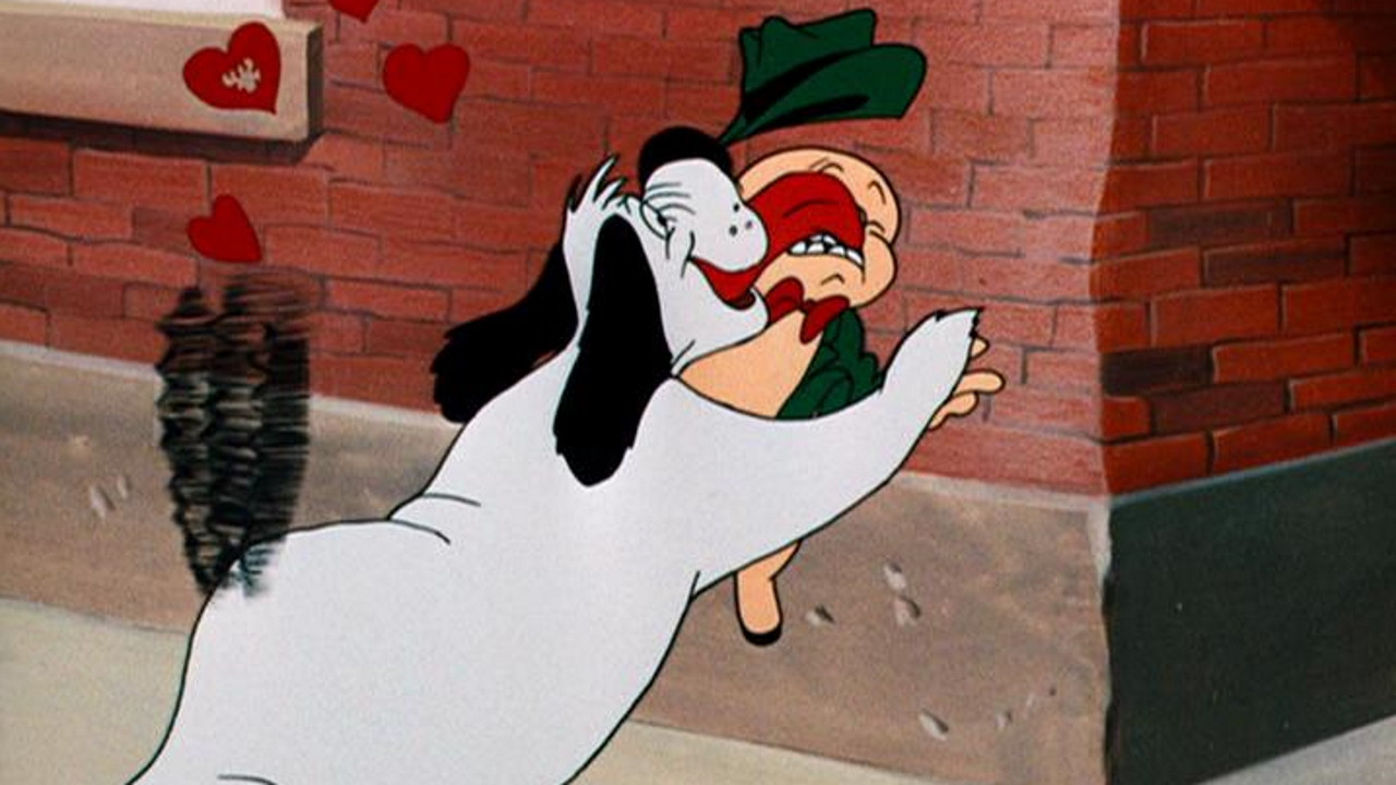 Backdrop for Dog Collared