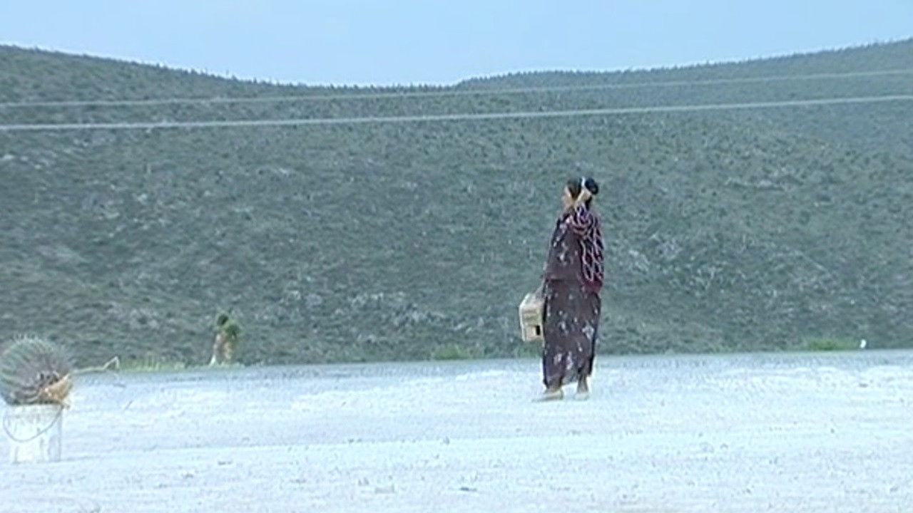 Backdrop for Tropic of Cancer