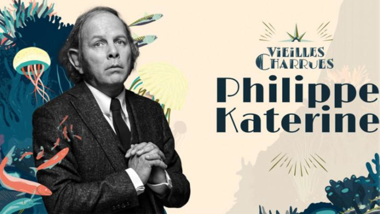 Backdrop for Philippe Katerine au festival des Vieilles Charrues