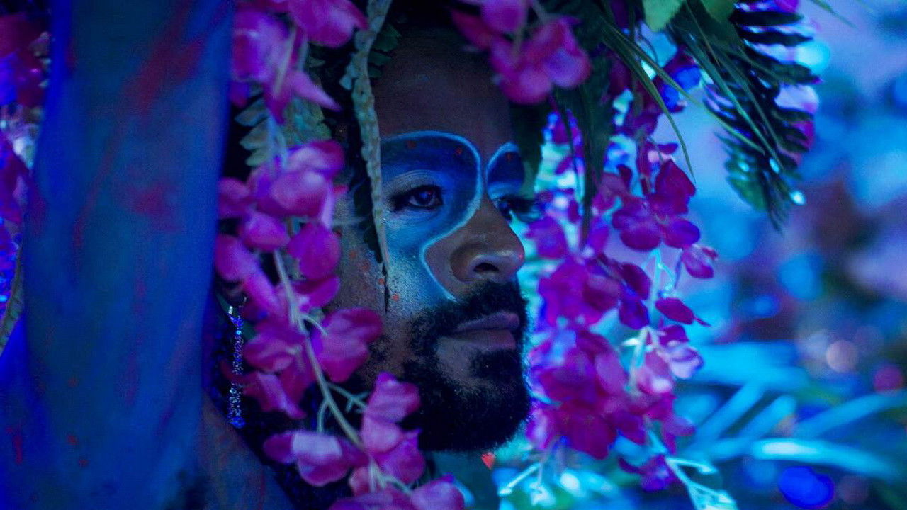 Backdrop for Flowers from Another Garden