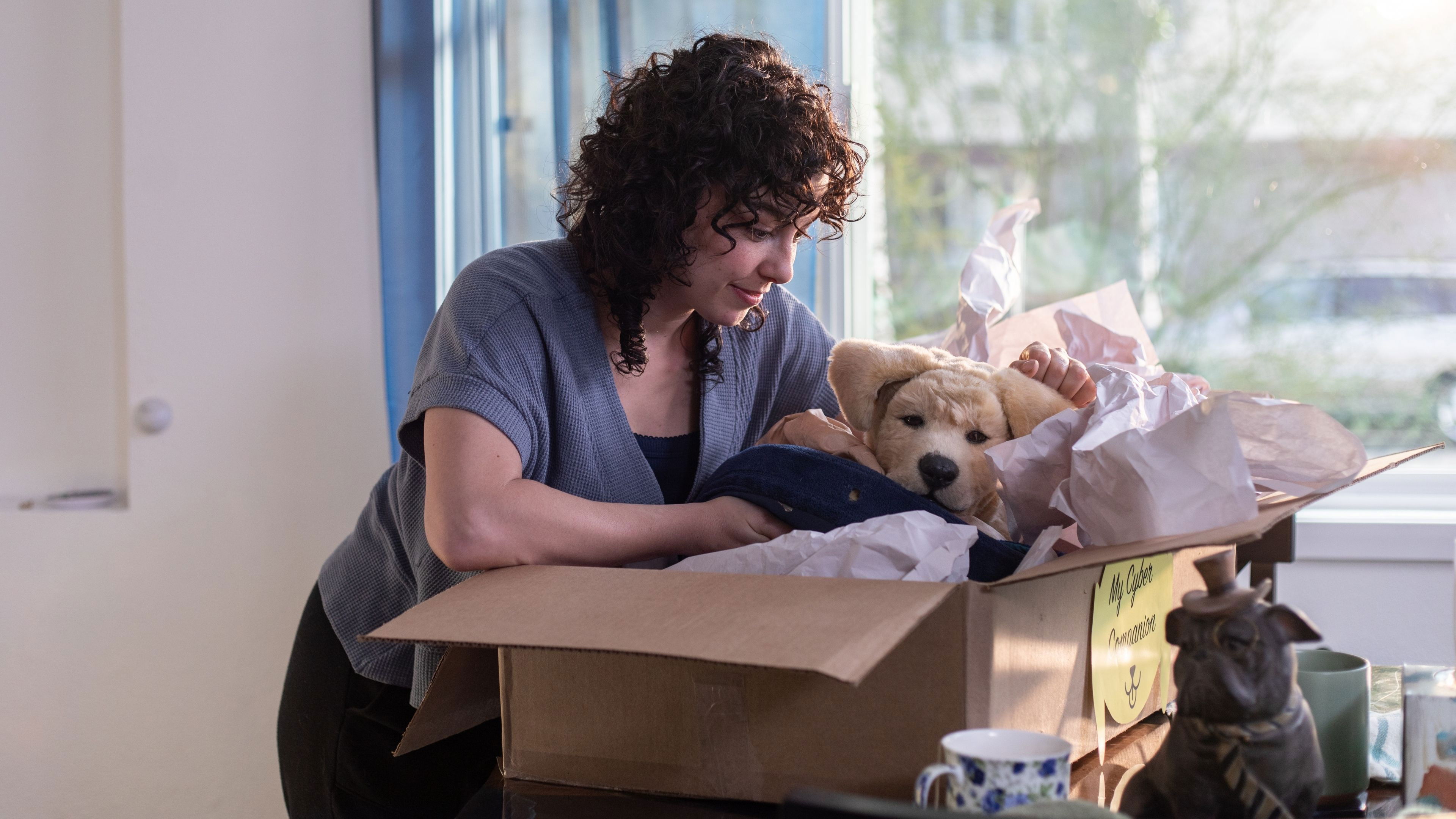 Backdrop for Walkies