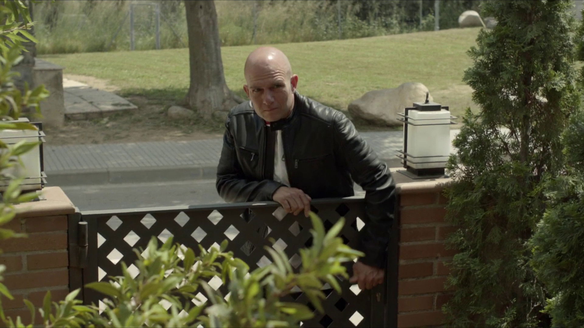 Backdrop for Freddie