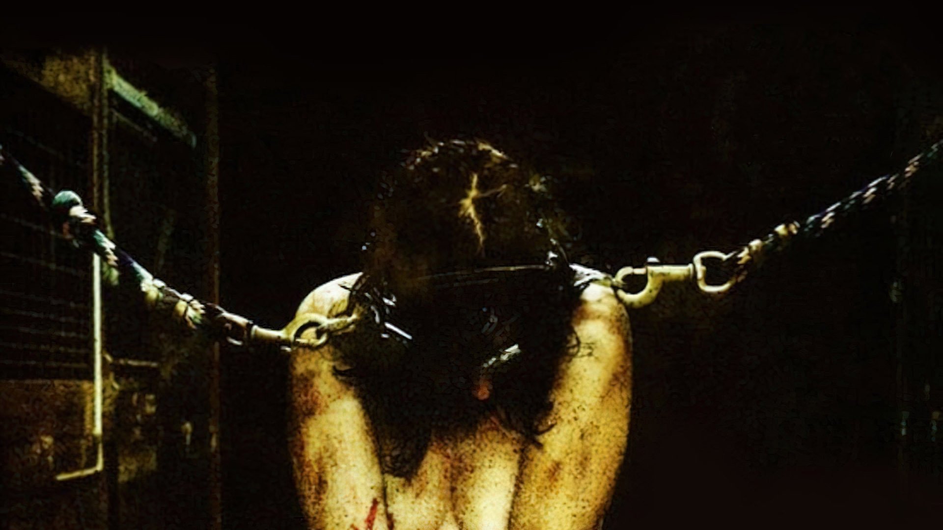 Backdrop for Live Animals