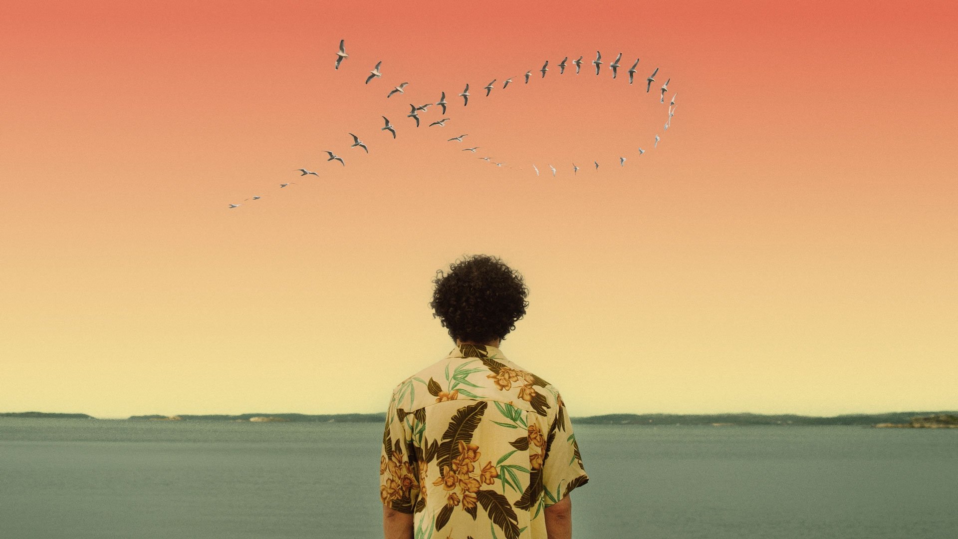 Backdrop for A Tiger in Paradise