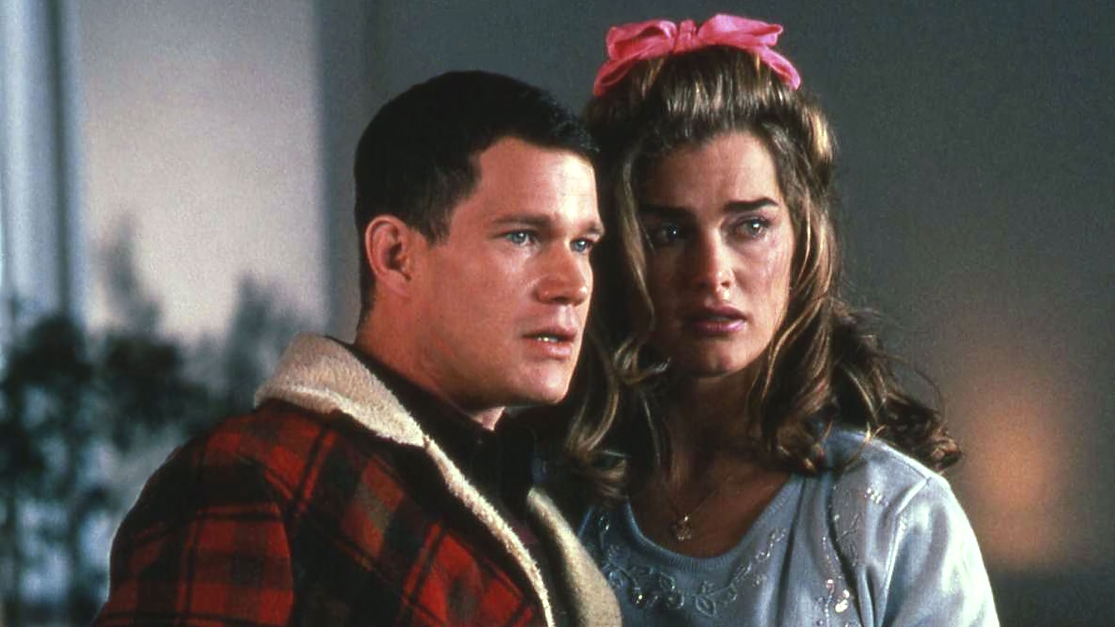 Backdrop for The Almost Perfect Bank Robbery