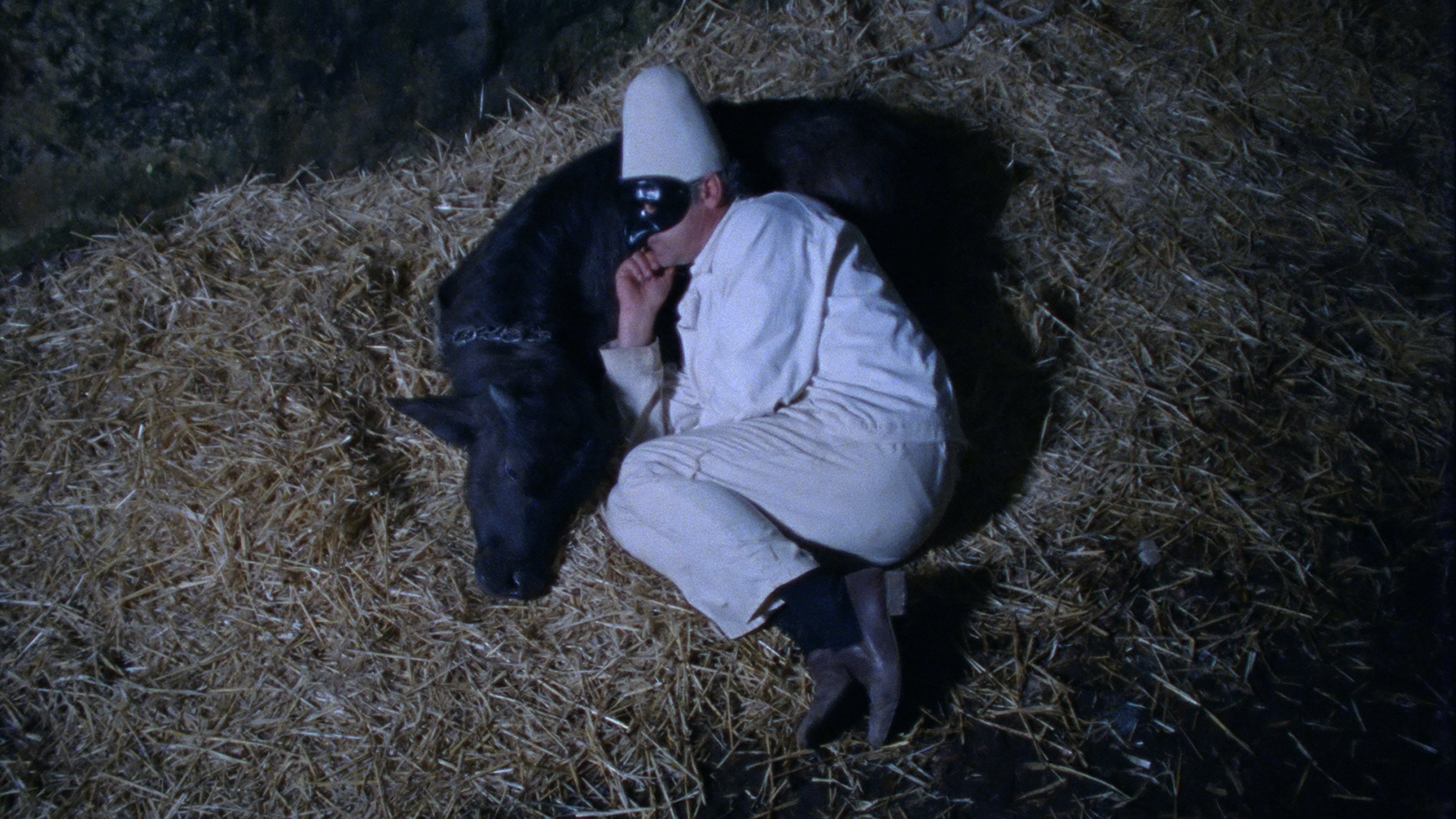 Backdrop for Lost and Beautiful