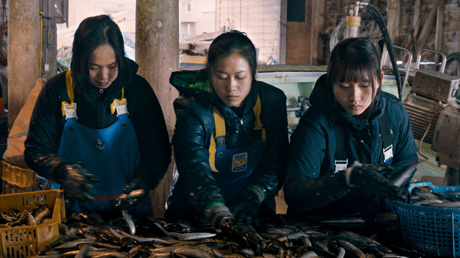 Backdrop for Along the Sea