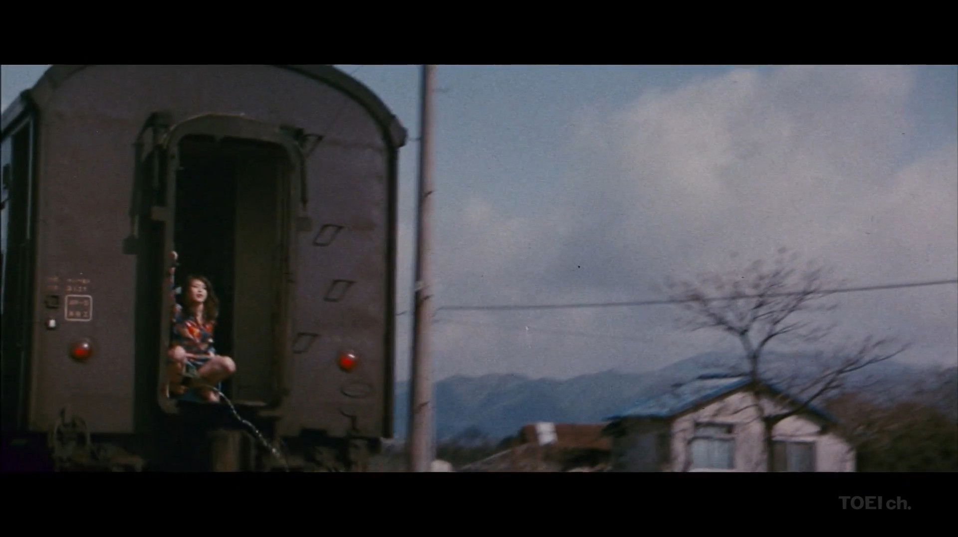 Backdrop for Sapporo, Yokohama, Ogoto, Hakata: Turkish Migratory Birds