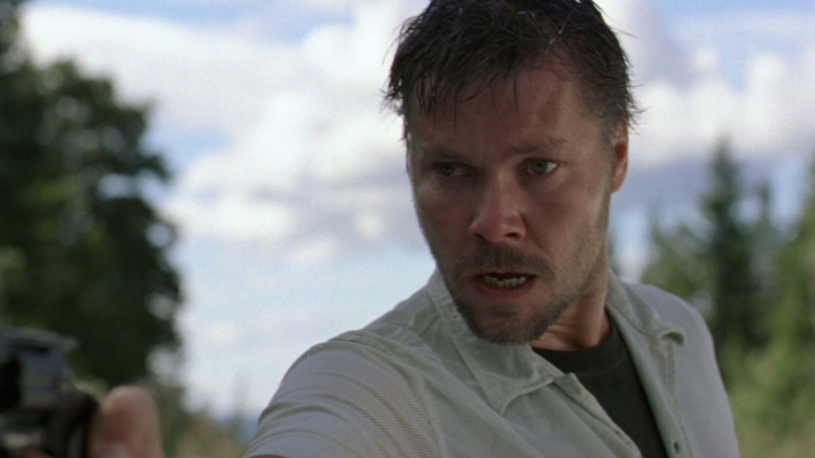 Backdrop for Cry in the Woods