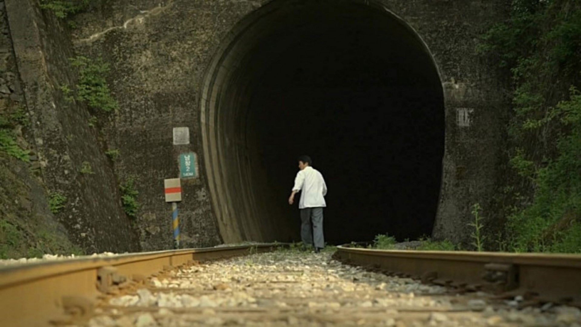 Backdrop for A Blooming Railroad